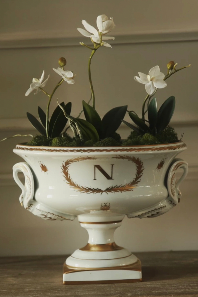 French Couleuvre Porcelain Empire Style Napoleon Jardinière