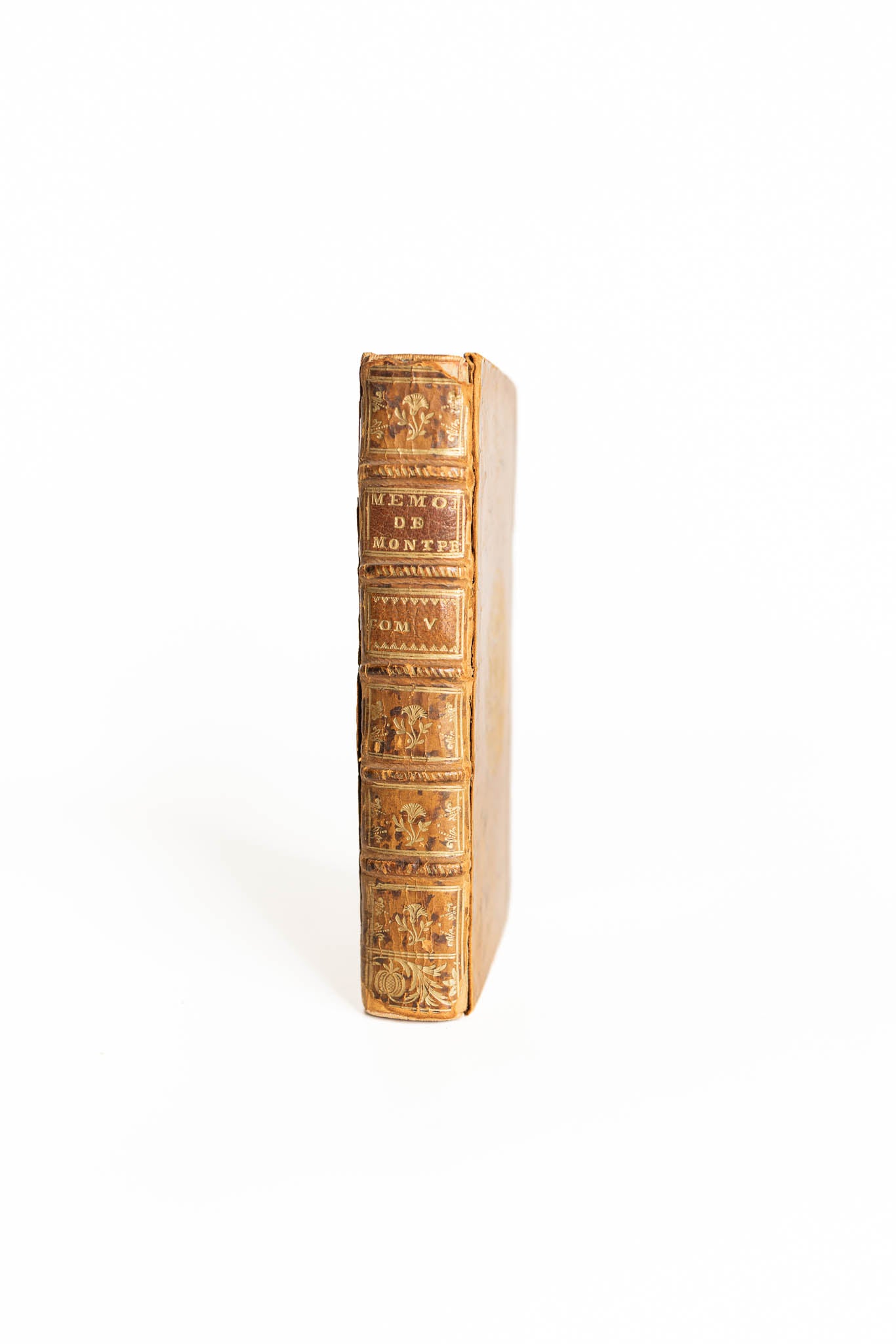1746 French Memories of Miss Montpensier