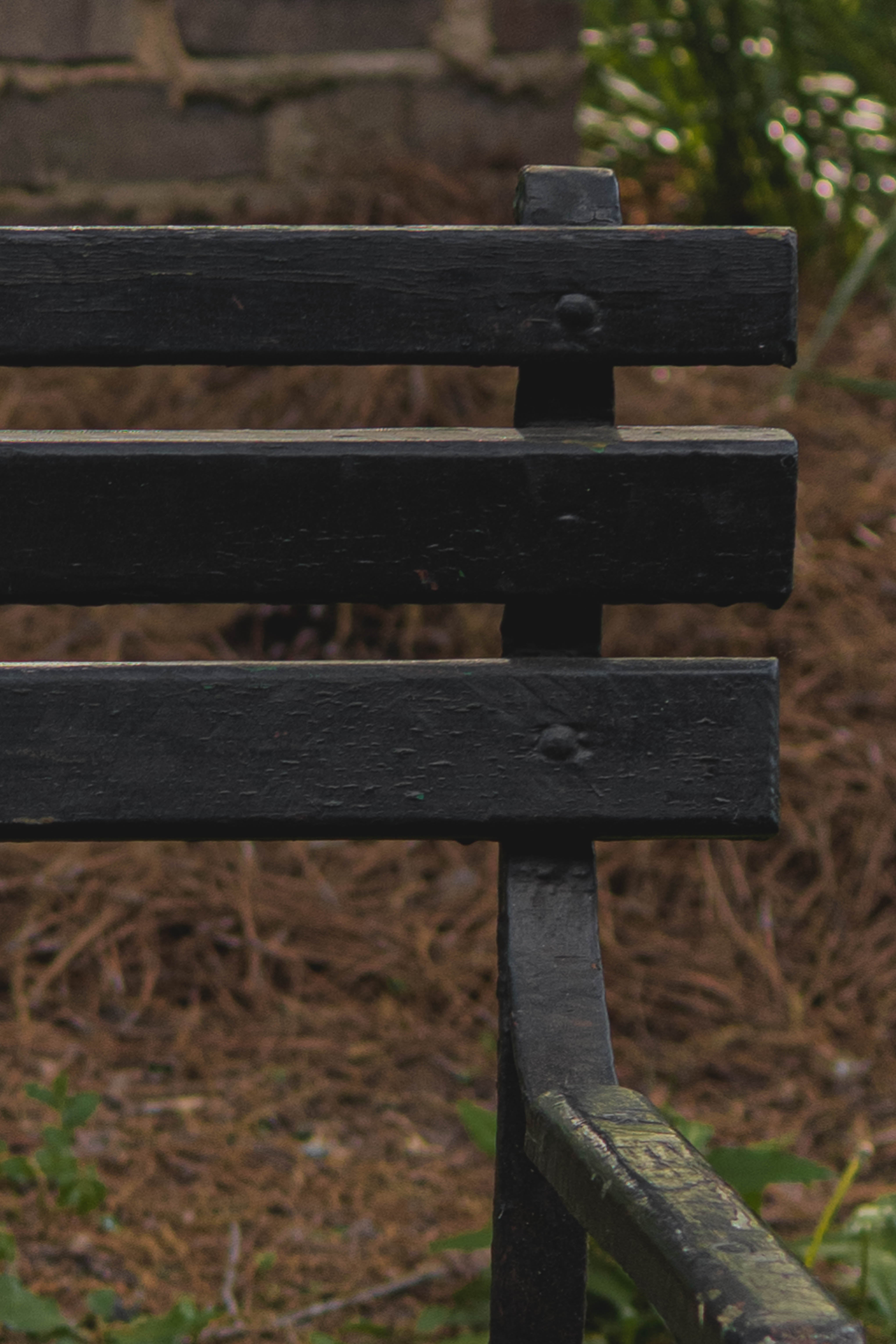 Antique French Garden Bench