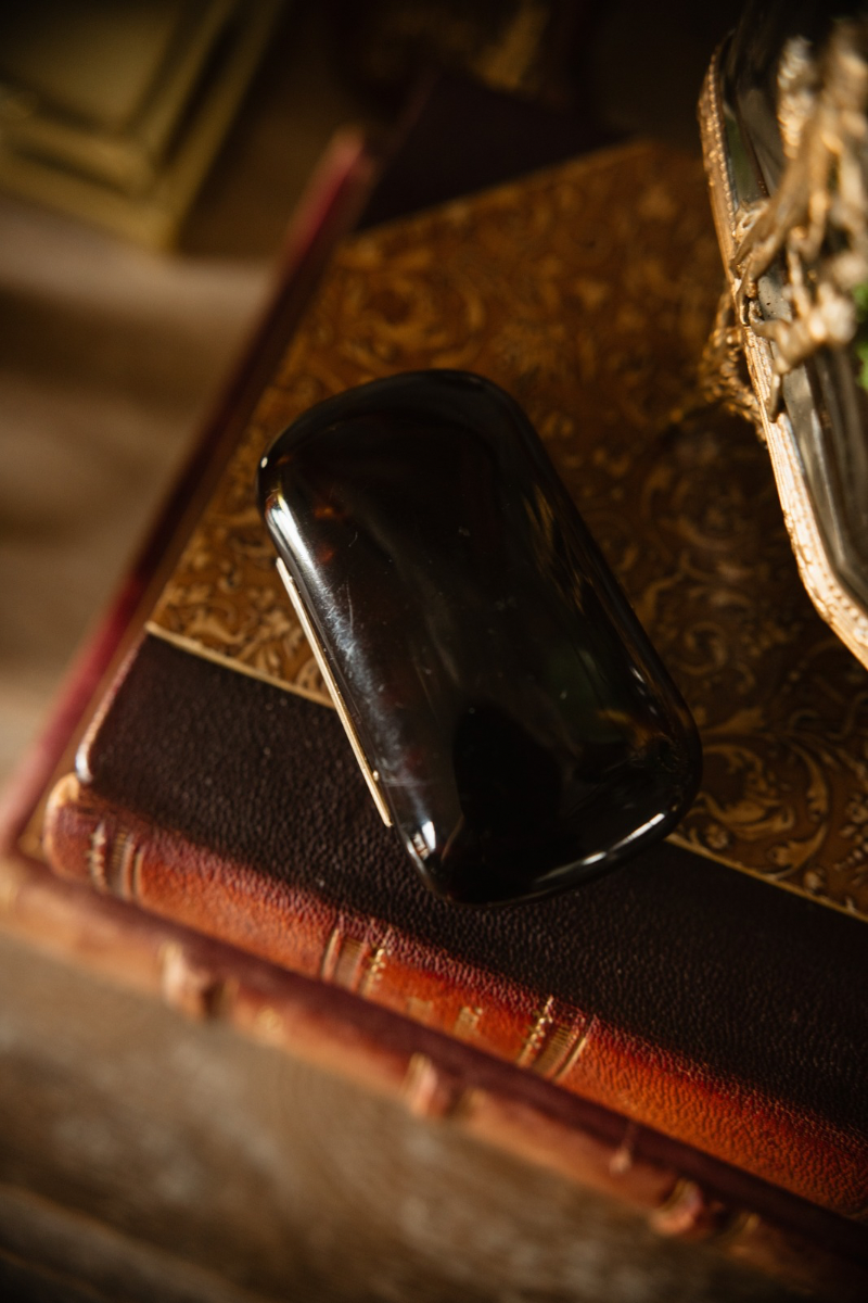 19th-Century Tortoiseshell Coin Purse with Shield Cartouche