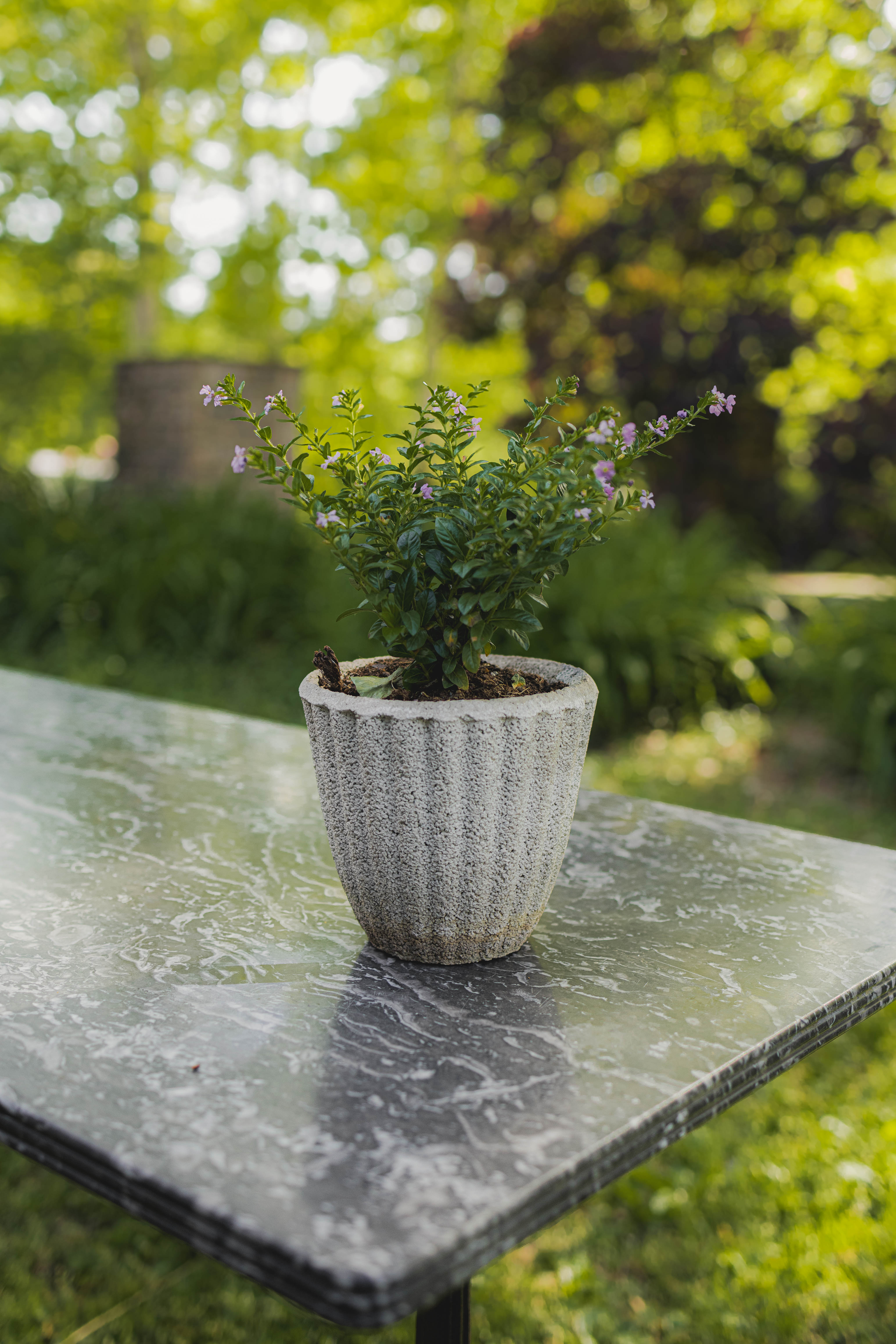 Antique French Fluted Concrete Mini Planters