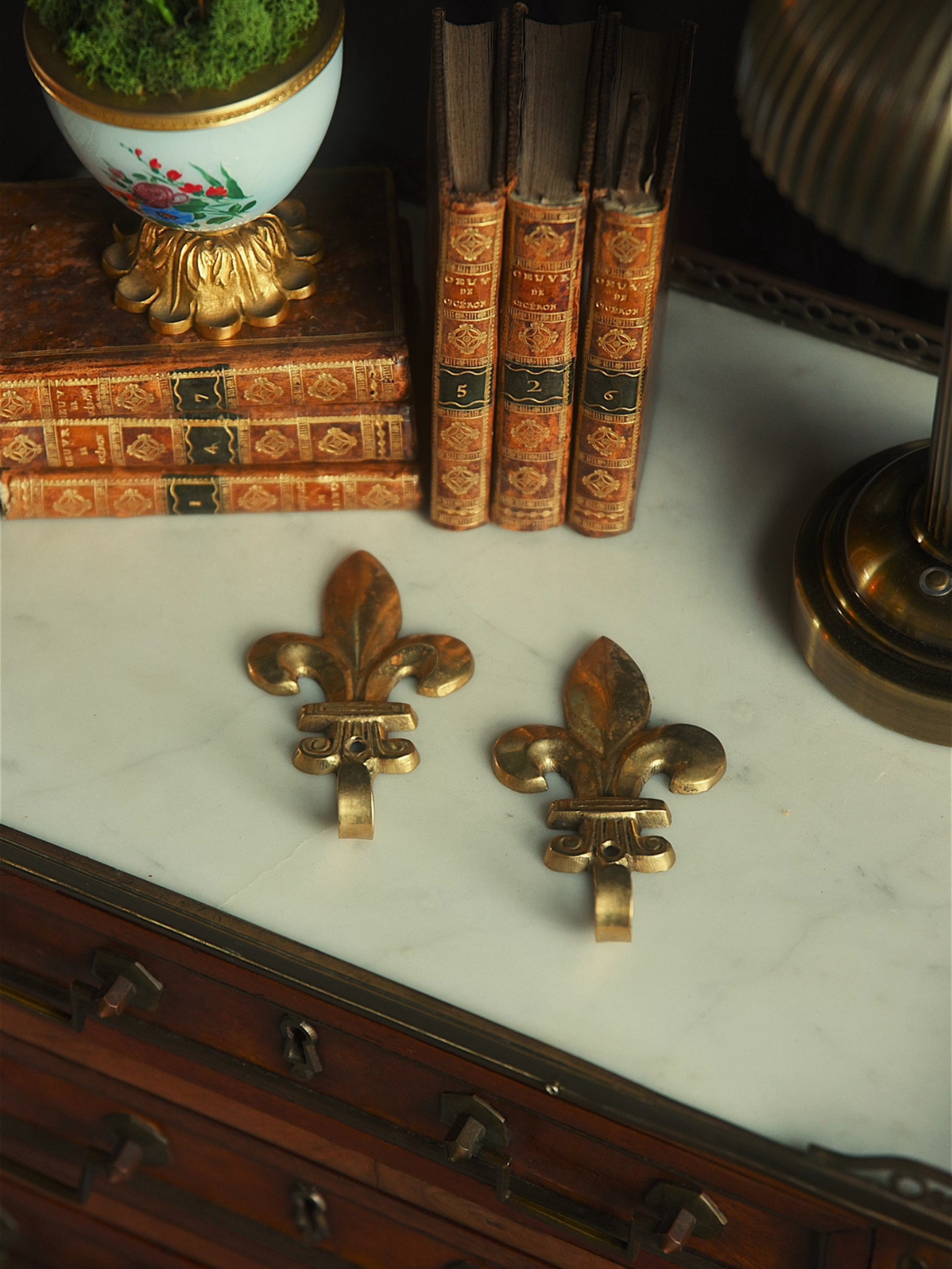 Pair of Brass Fleur-de-Lis Wall Hooks