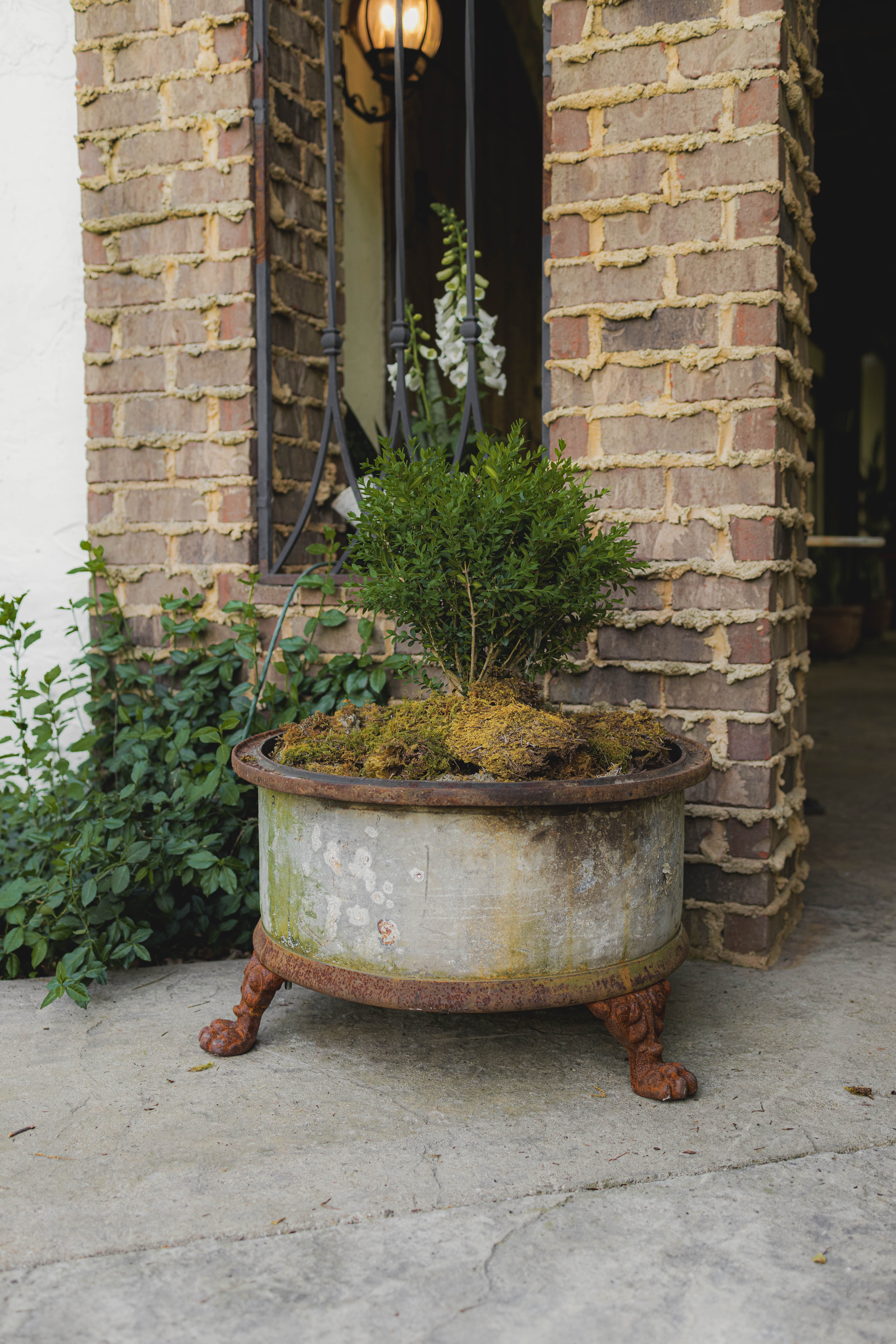 Antique Reclaimed Claw Foot Oil Barrel Planters