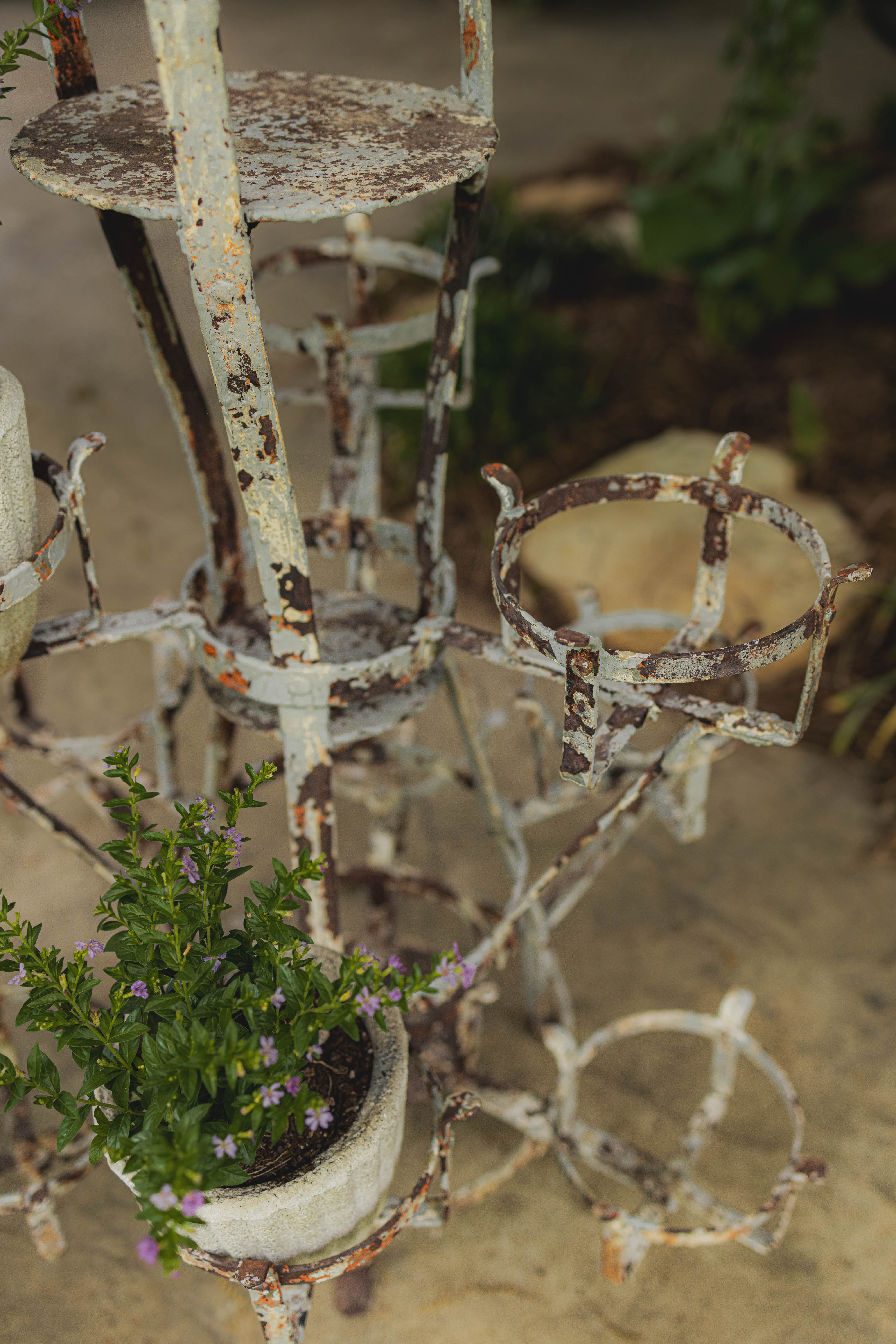 20th Century French Rustic Plant Stand
