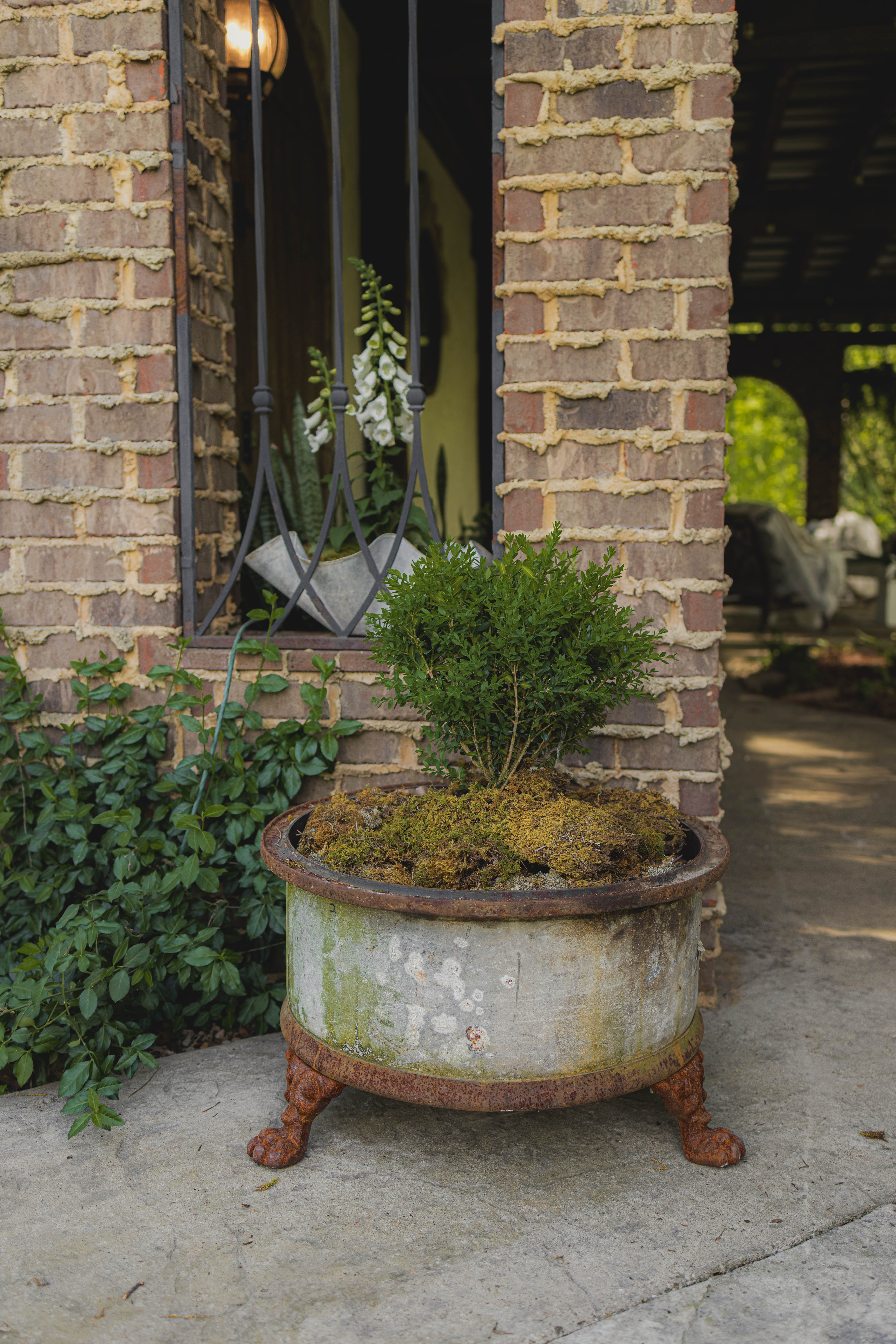 Antique Reclaimed Claw Foot Oil Barrel Planters