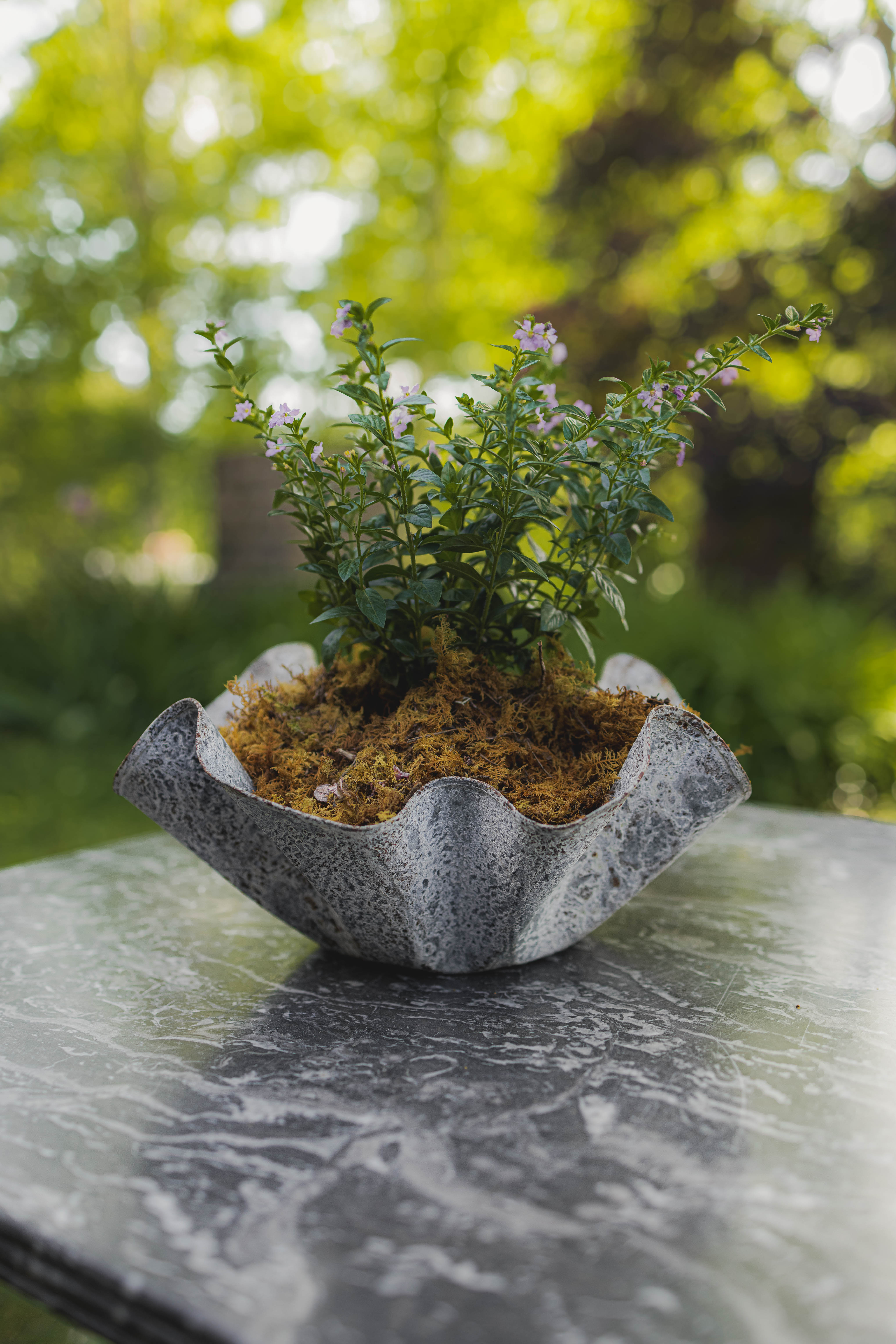 Small Kerchief Planter