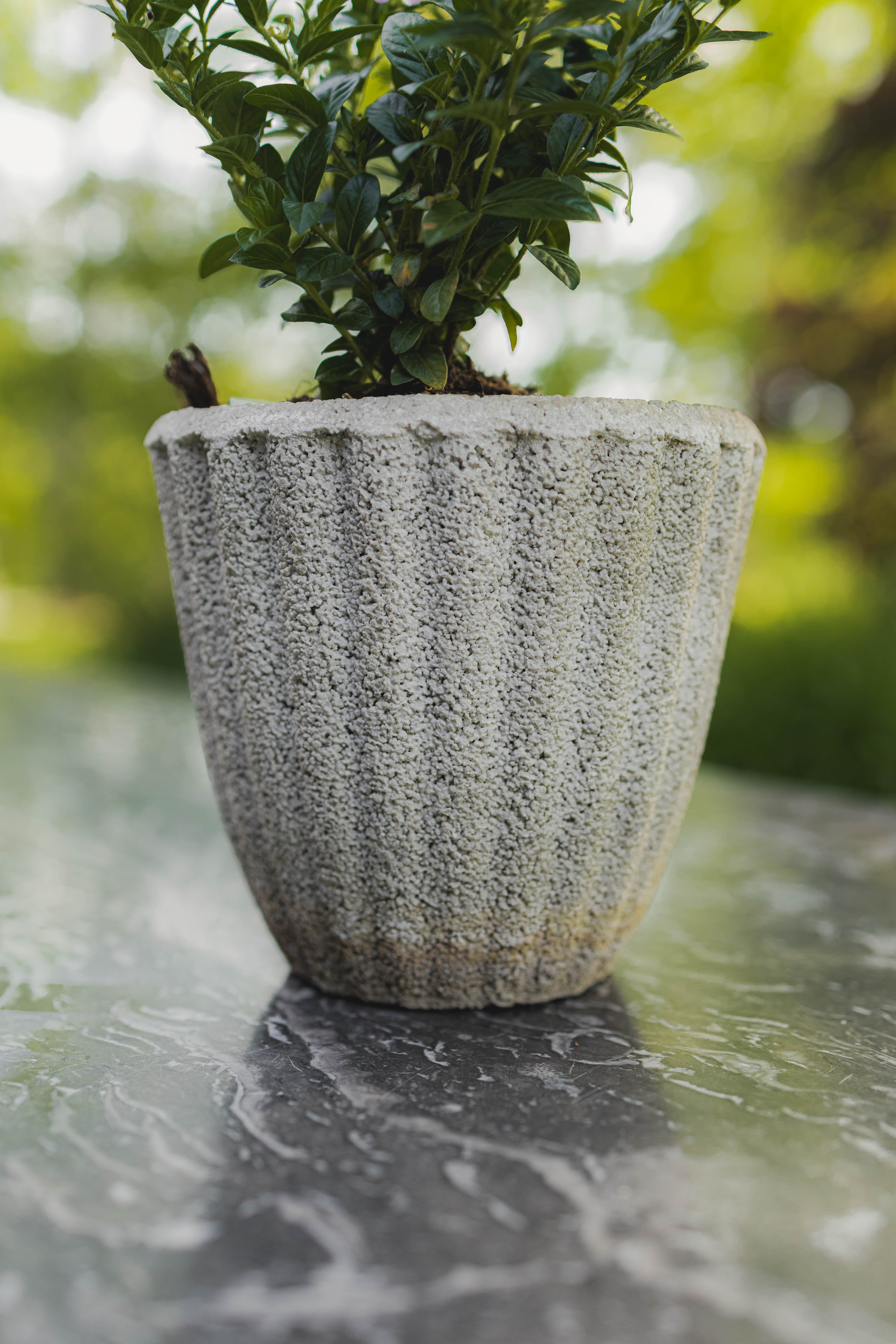Antique French Fluted Concrete Mini Planters