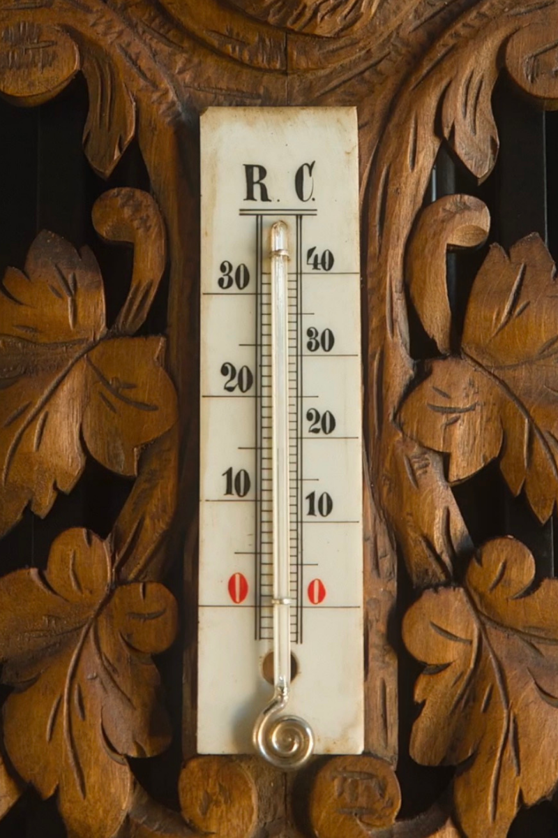 19th-Century Black Forest Hunting Barometer and Thermometer