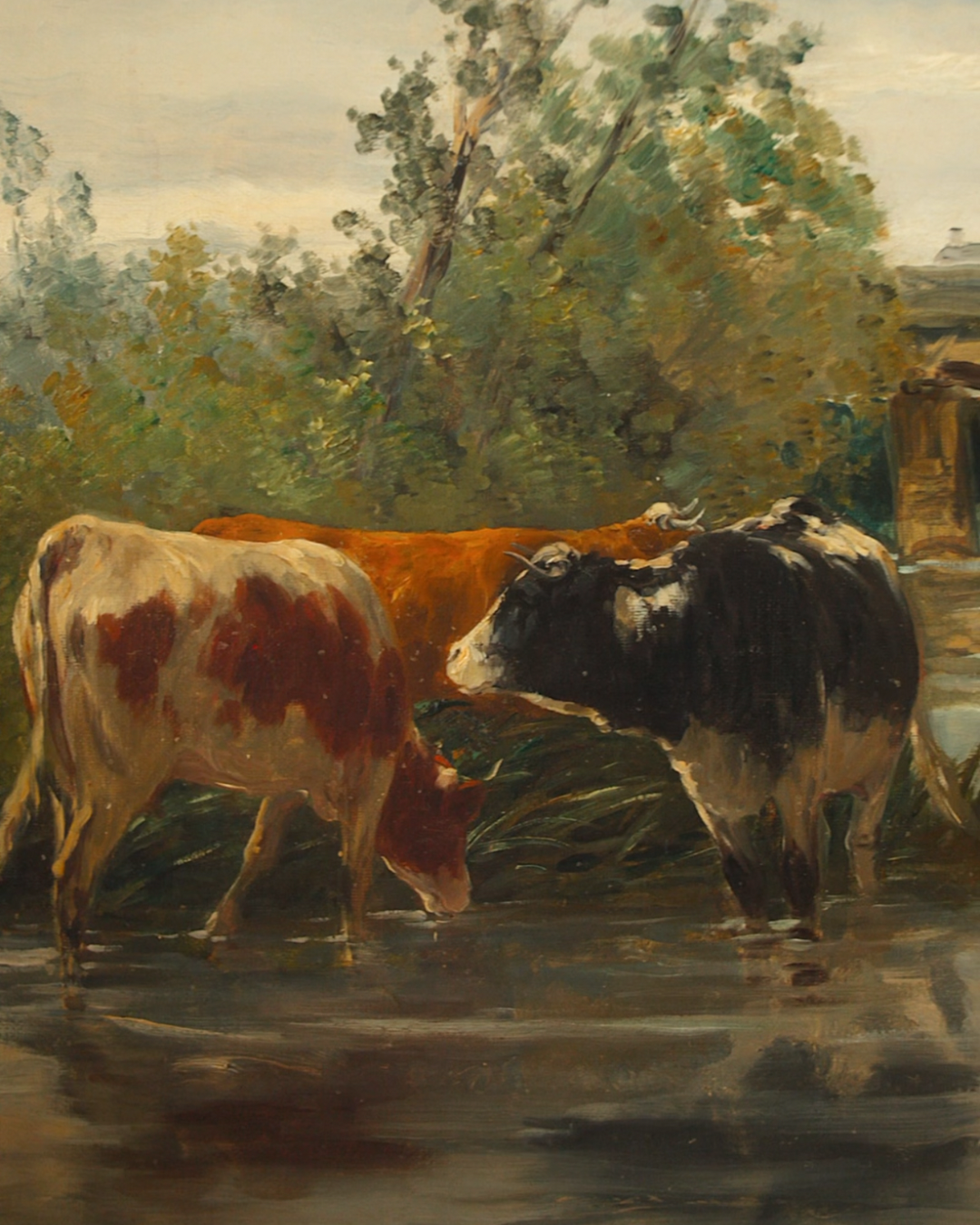 20th Century Cow Oil on Canvas by Arent Van De Pol signed C.Calres.