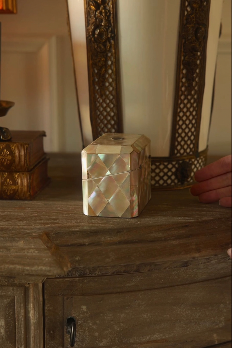 19th Century Mother of Pearl & Sterling Silver Traveling Scent Bottle Casket - 1880