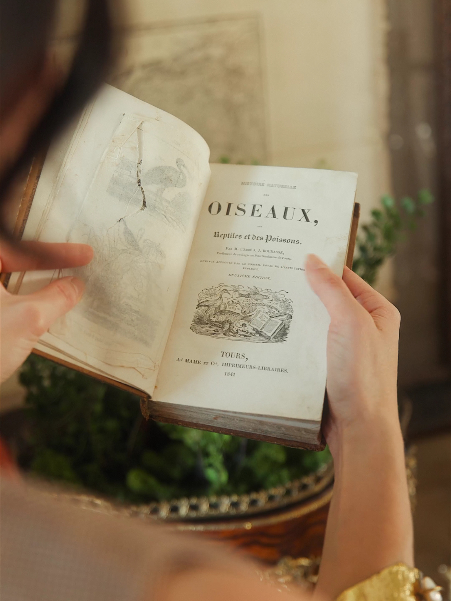 “Histoire Naturelle des Oiseaux, Reptiles et des Poissons” — 1841 French Natural History Volume