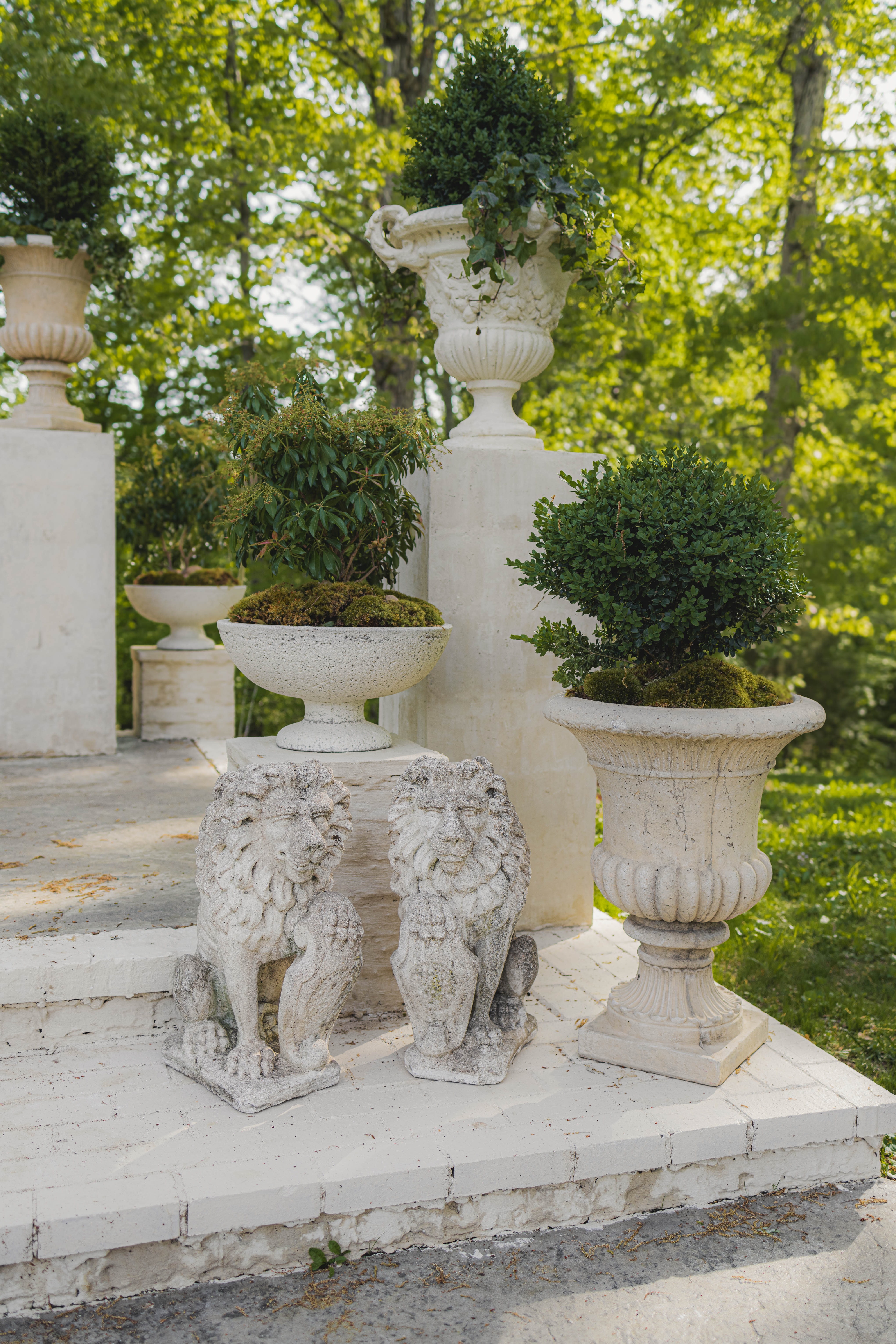 19th Century Stone Lion Pair