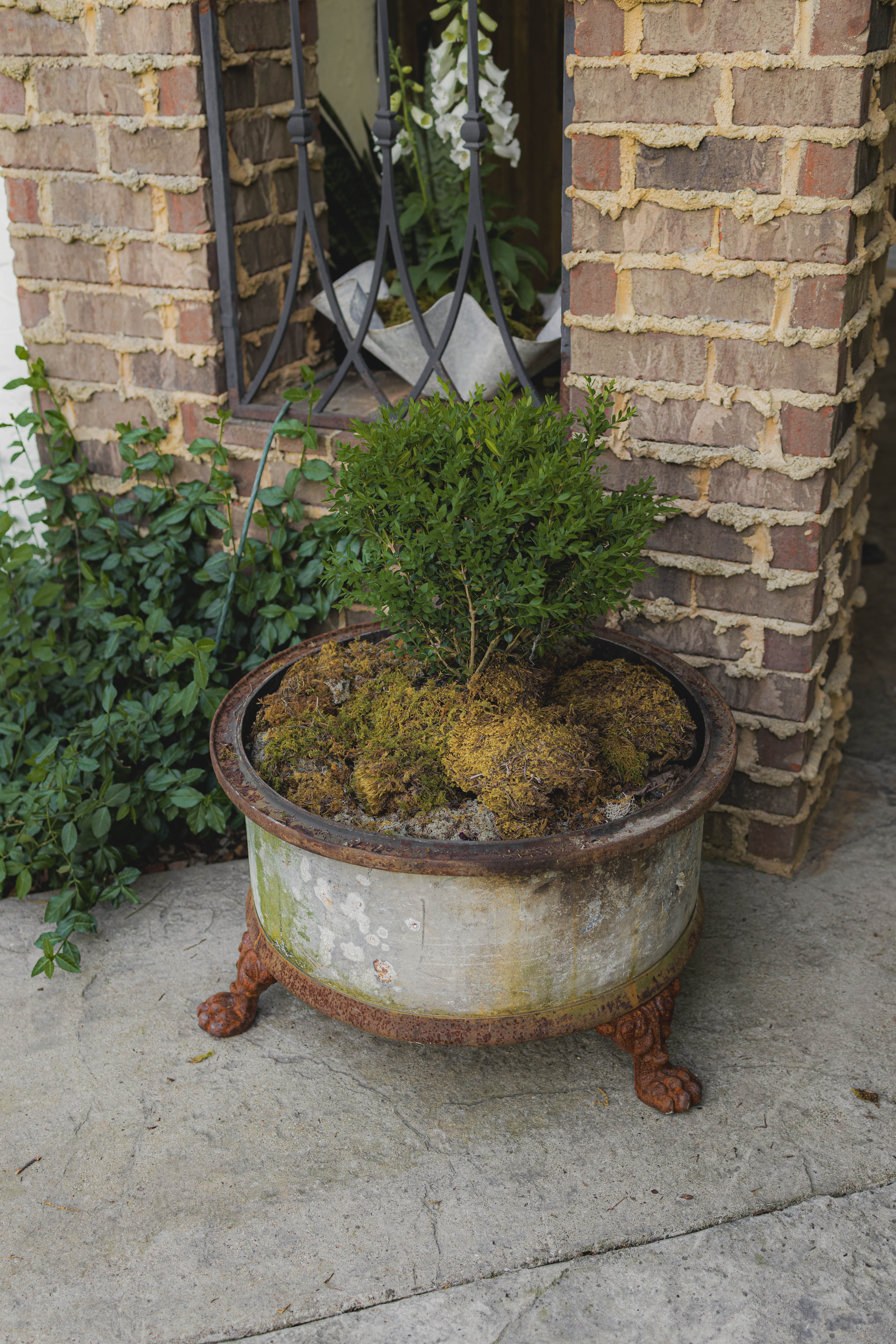 Antique Reclaimed Claw Foot Oil Barrel Planters