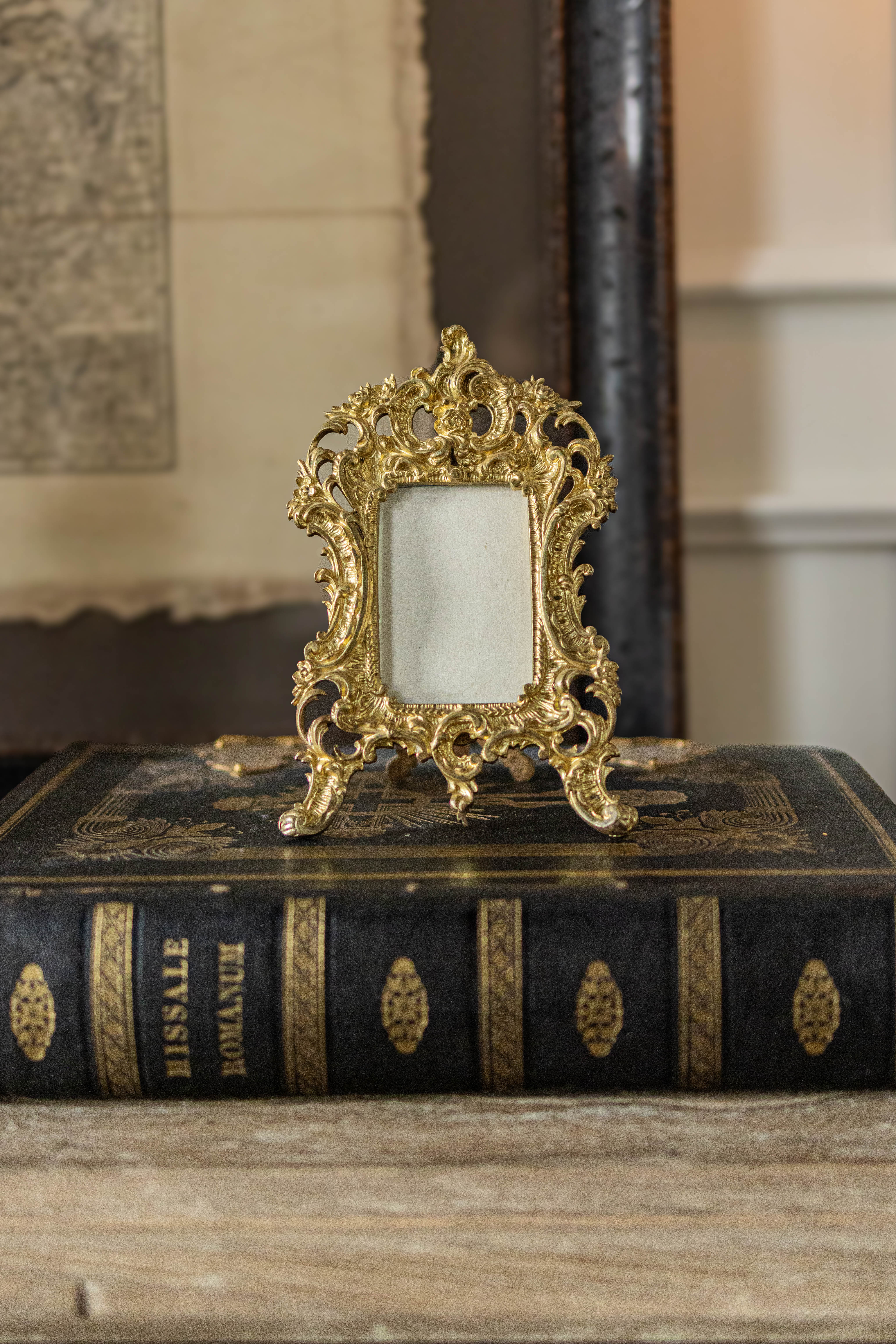 Antique French Gilt Frame