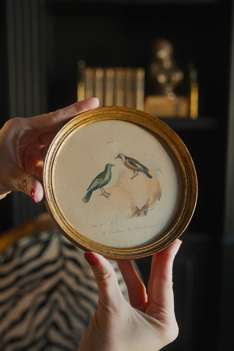 Pair of Framed French Bird Study Prints
