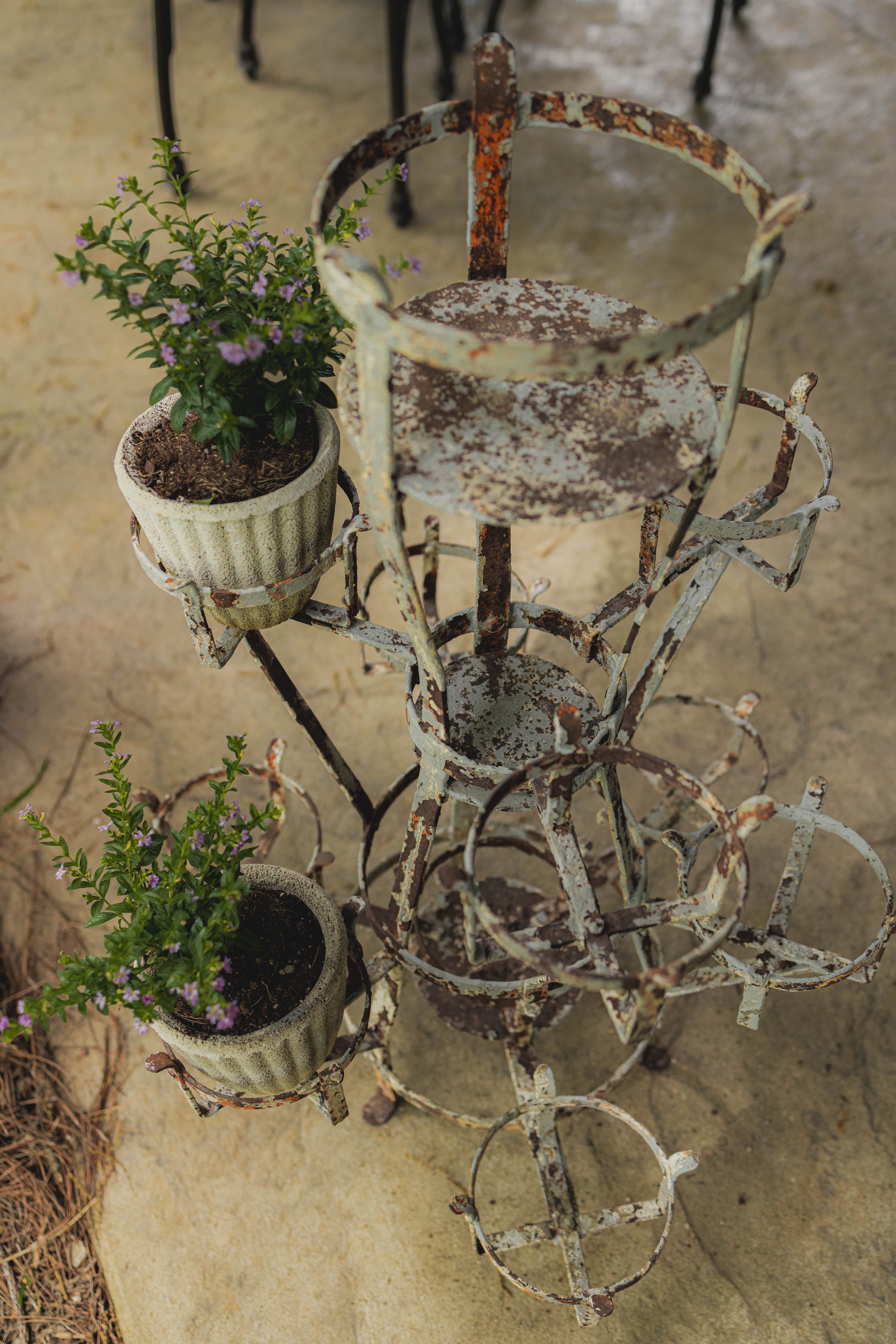 20th Century French Rustic Plant Stand