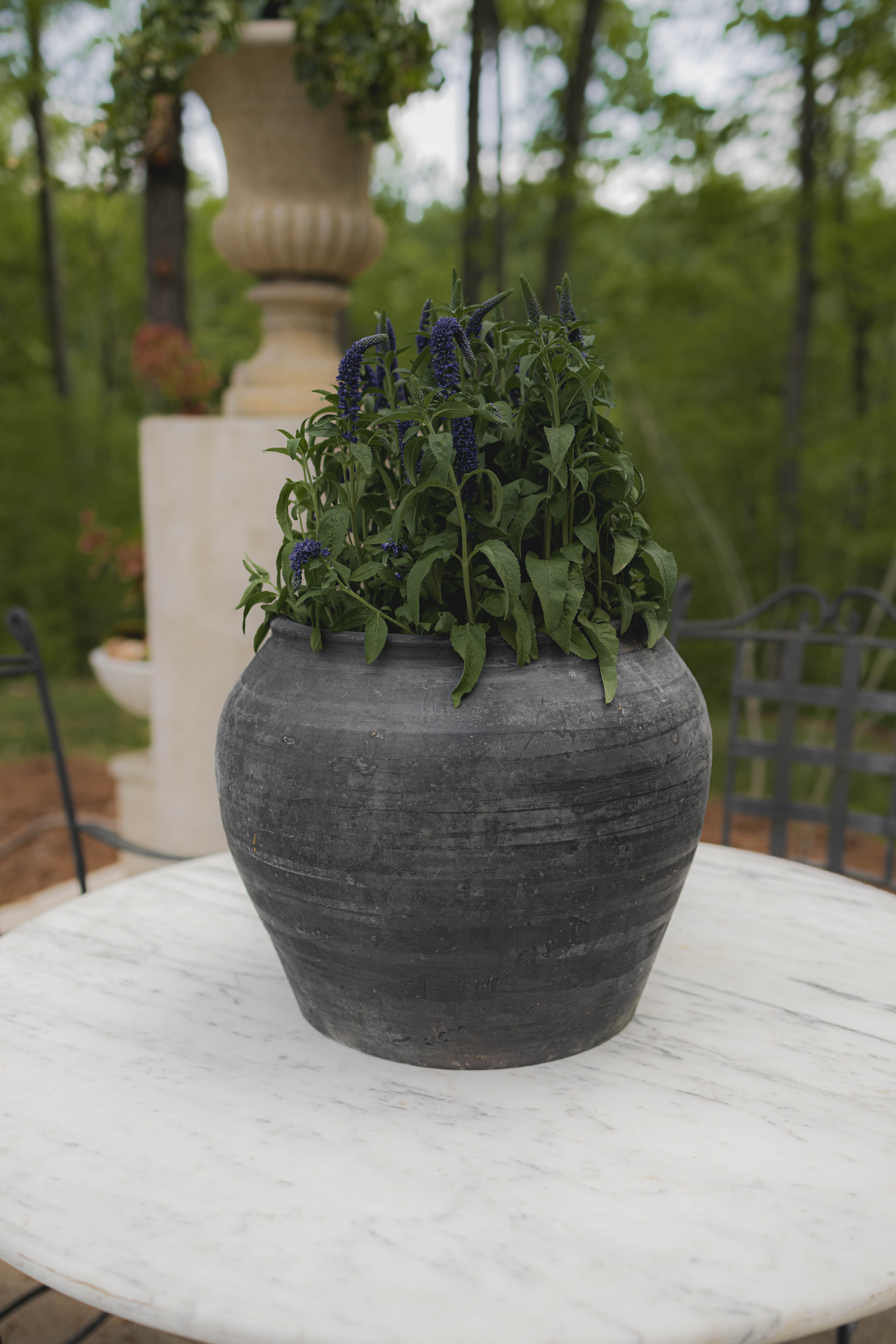 Vintage Cunmin Pot
