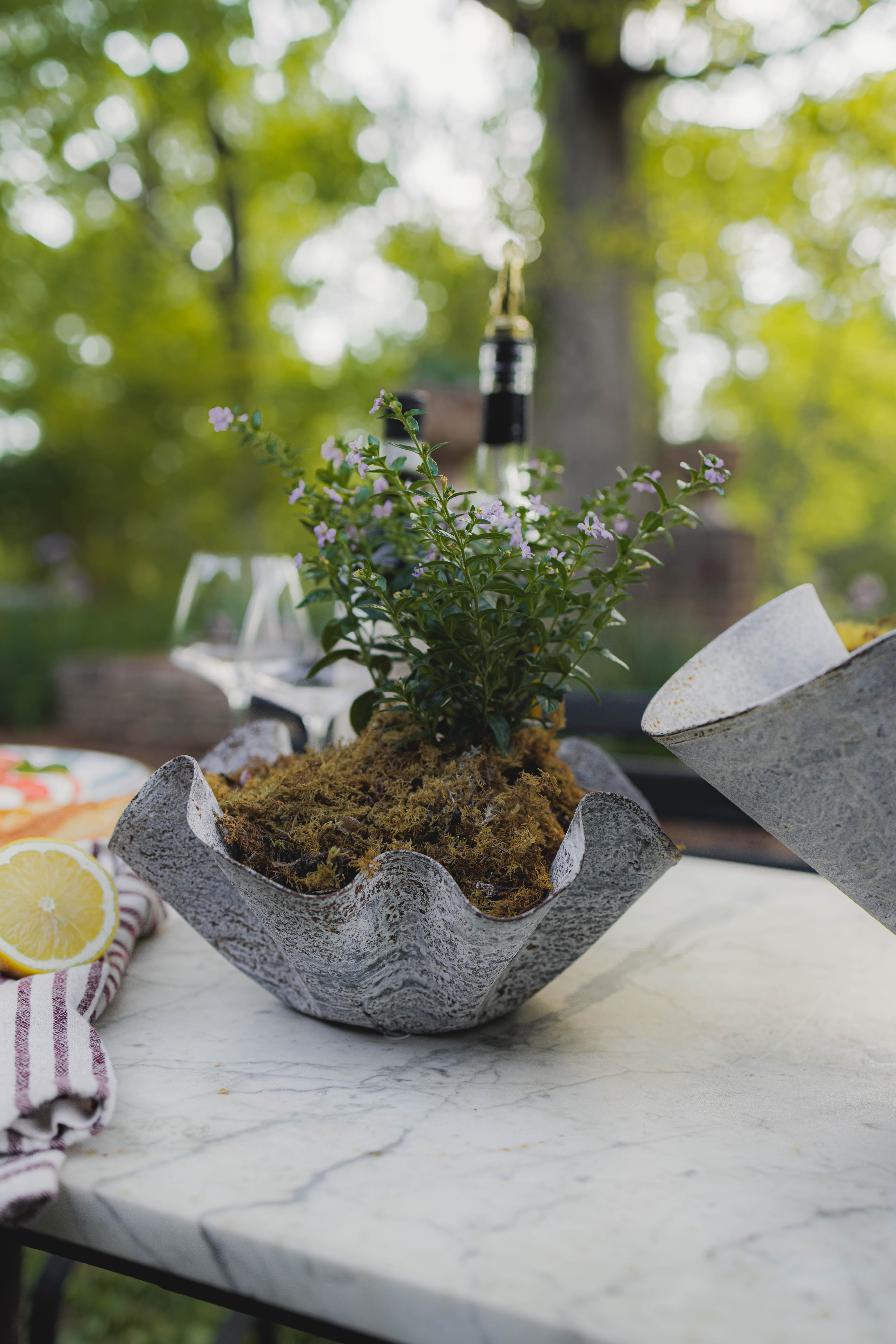 Small Kerchief Planter