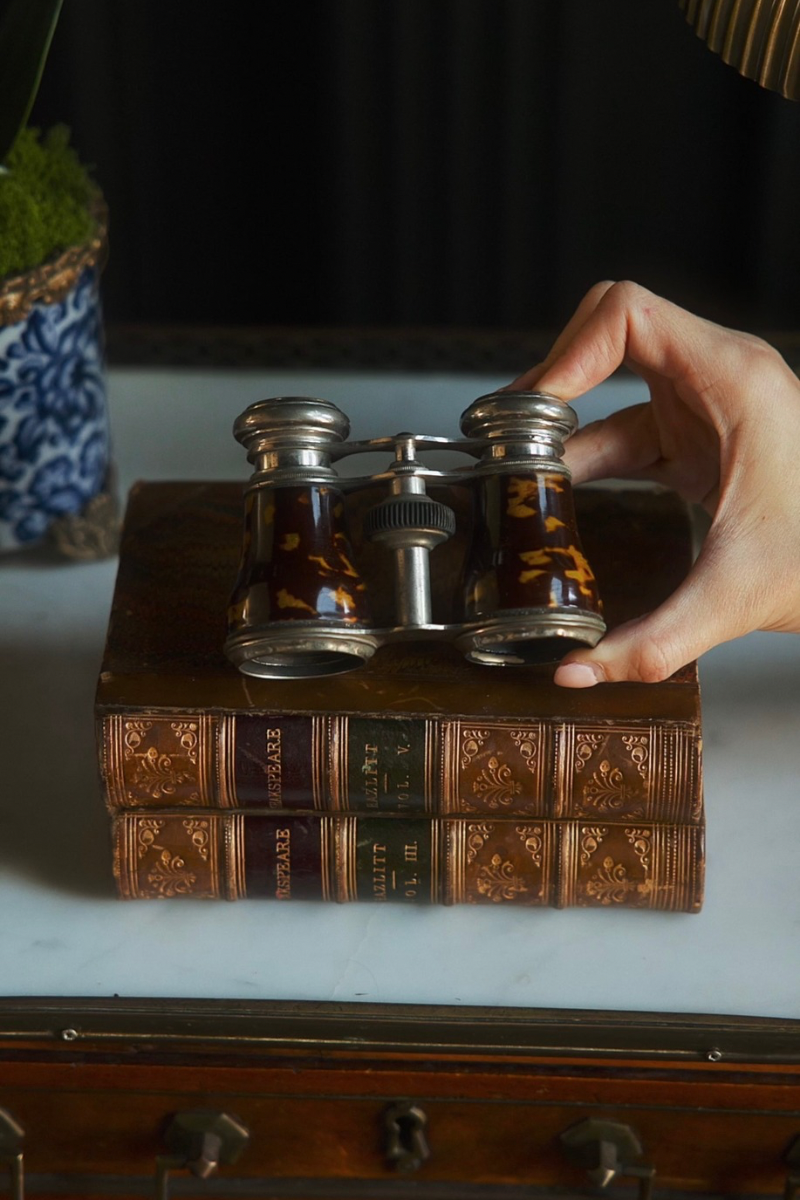 19th C. French Tortoise Opera Glasses