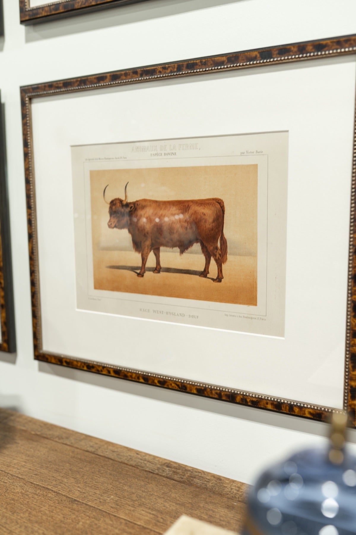 Collection of Ten Antique French Bovine Lithographs by Victor Adam - Newly Framed