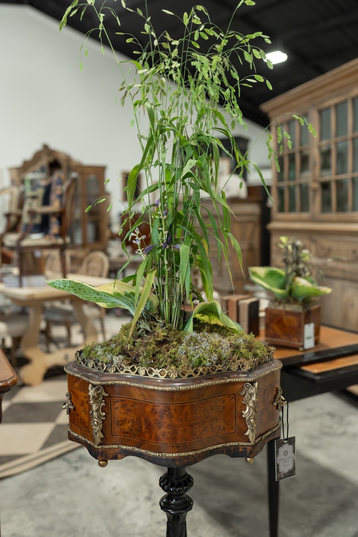 19th C. Napoleon III Walnut & Ebonized Jardinere Pedestal Stand