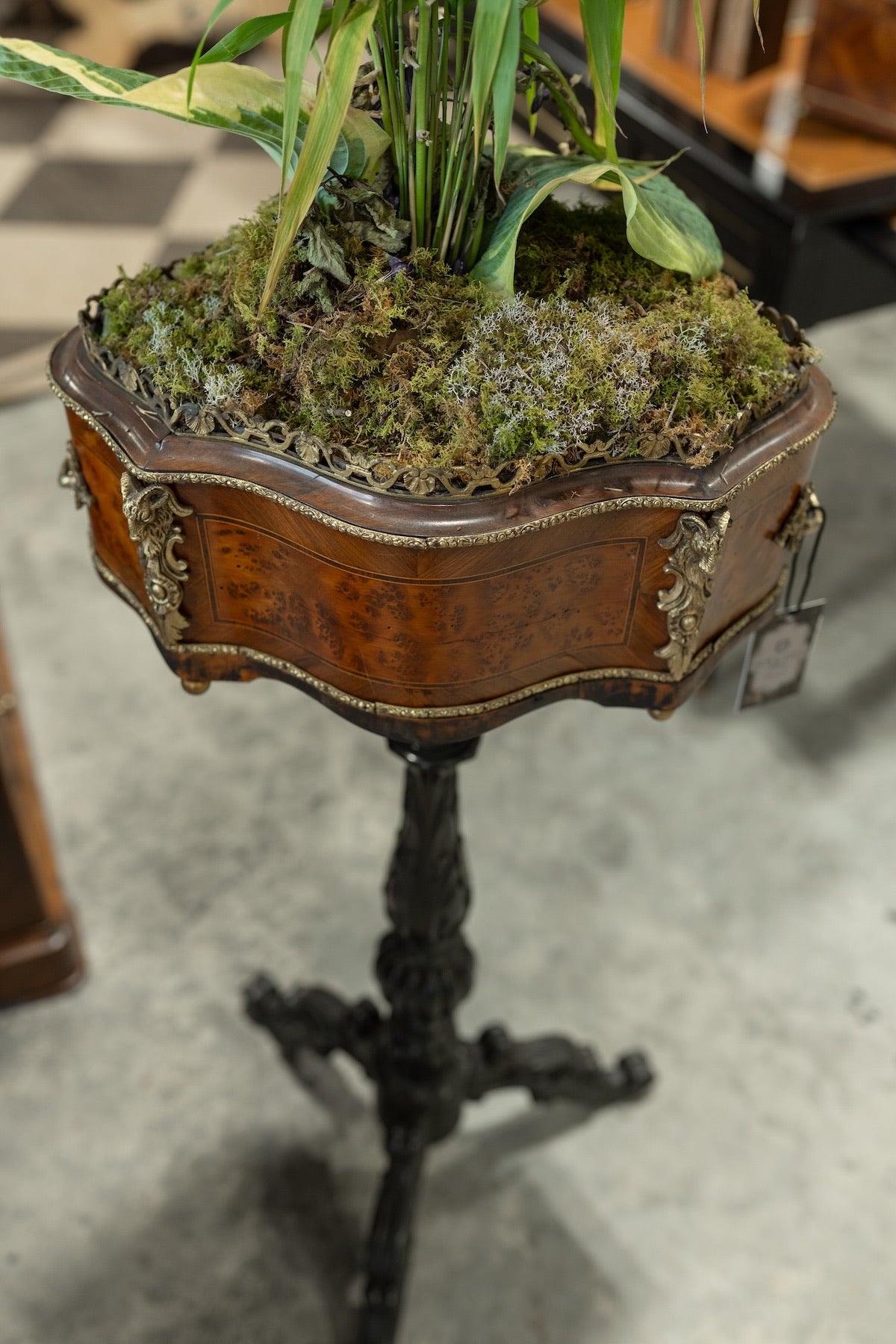 19th C. Napoleon III Walnut & Ebonized Jardinere Pedestal Stand