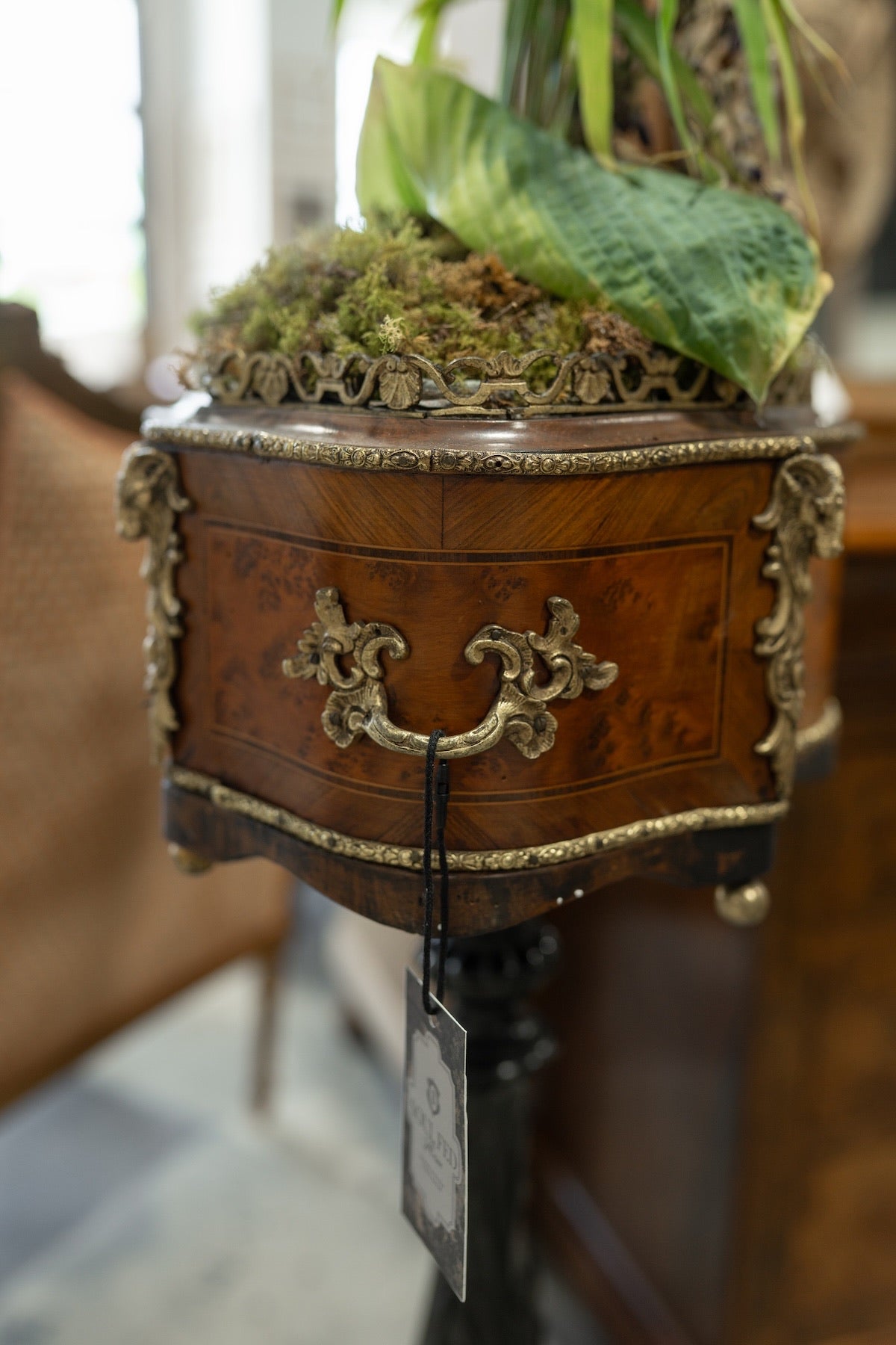 19th C. Napoleon III Walnut & Ebonized Jardinere Pedestal Stand
