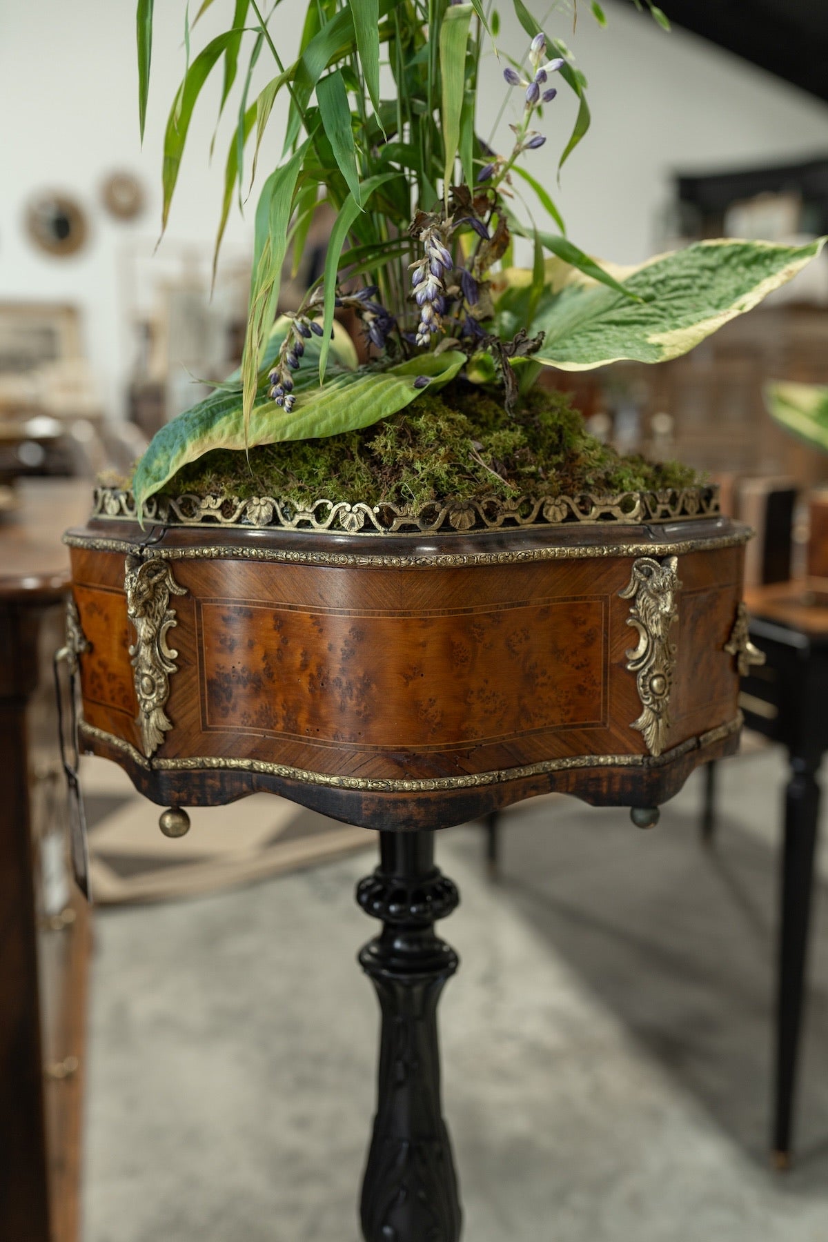 19th C. Napoleon III Walnut & Ebonized Jardinere Pedestal Stand
