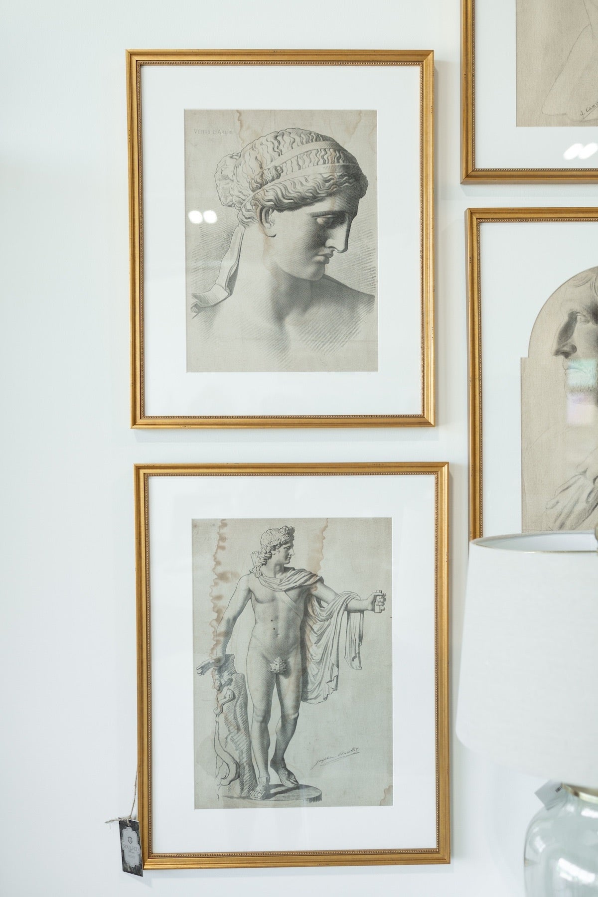 Collection of Eleven Classical Figure Studies