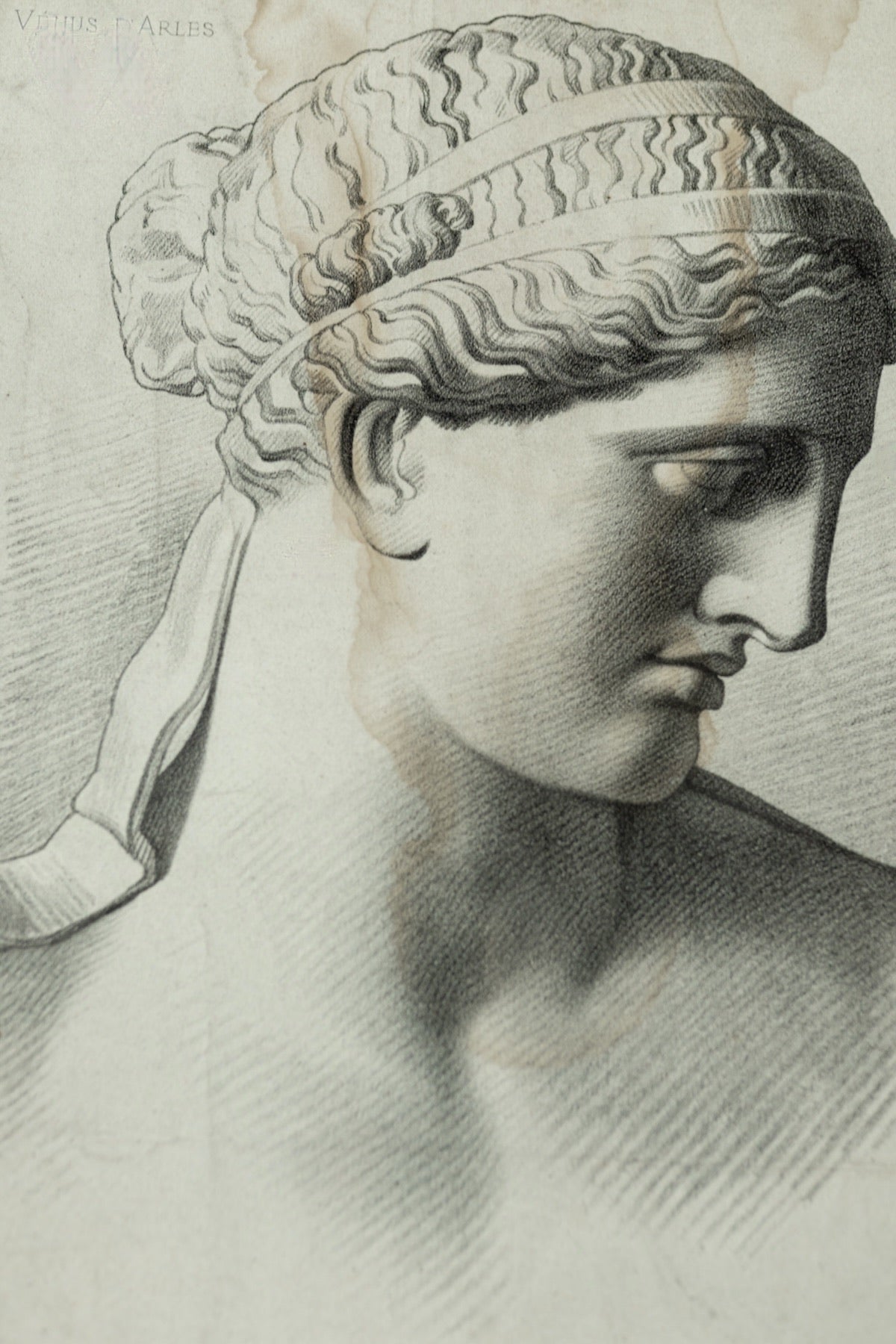 Collection of Eleven Classical Figure Studies