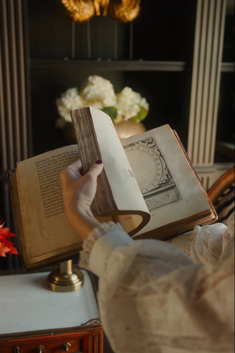 1685 Chronicle of France — Illustrated Dutch Edition