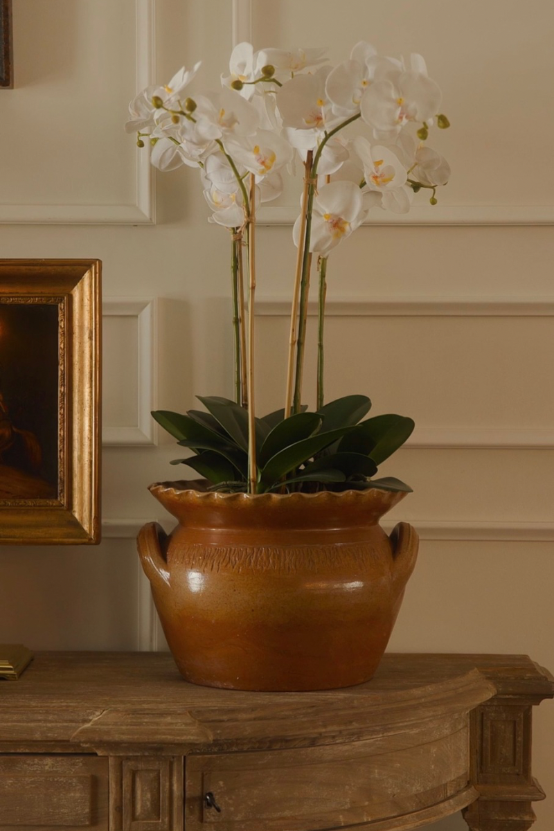 19th Century French Terracotta Planter with Handles