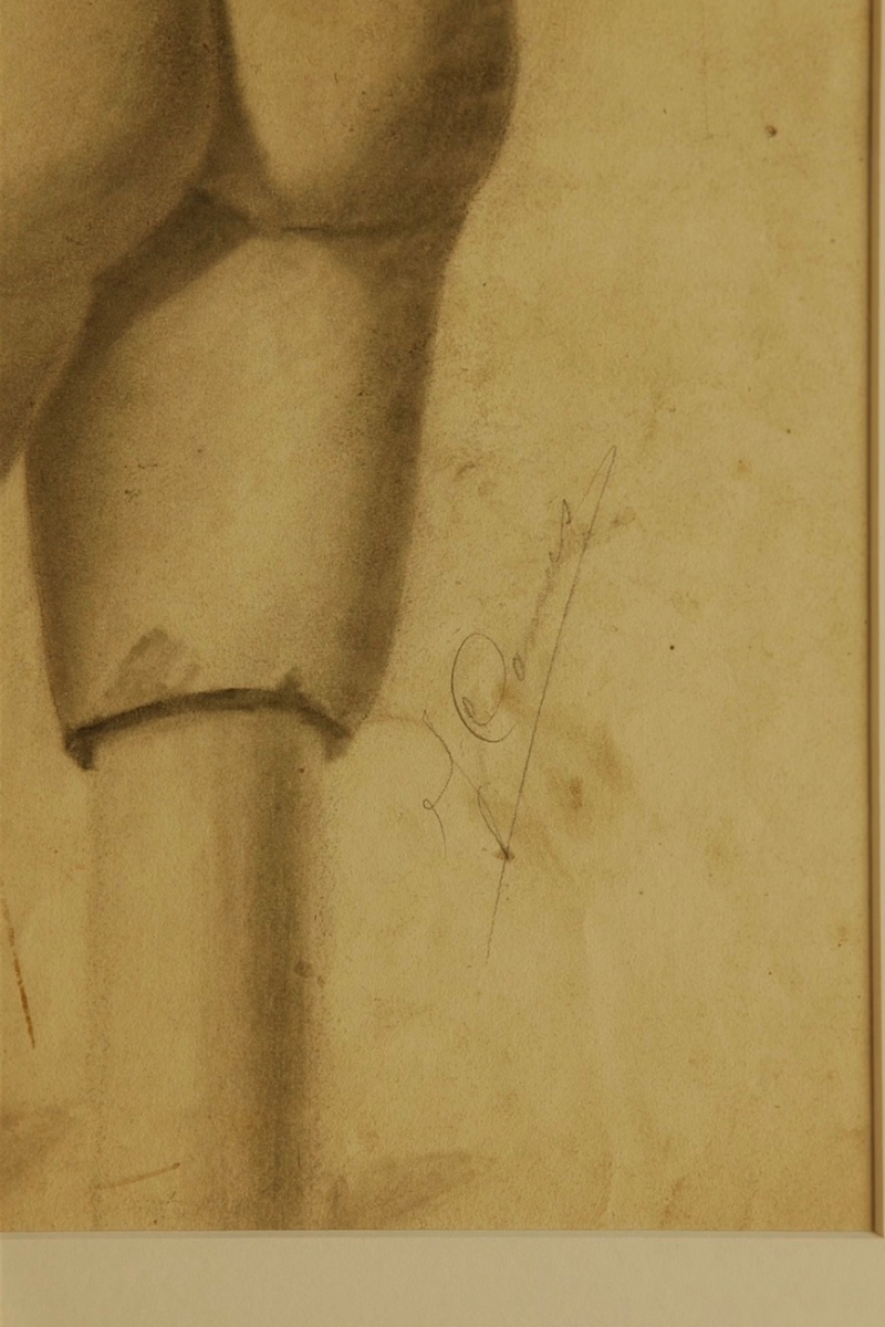 19th C. Academic Figure Study of Classical Torso Charcoal & Chalk on Paper