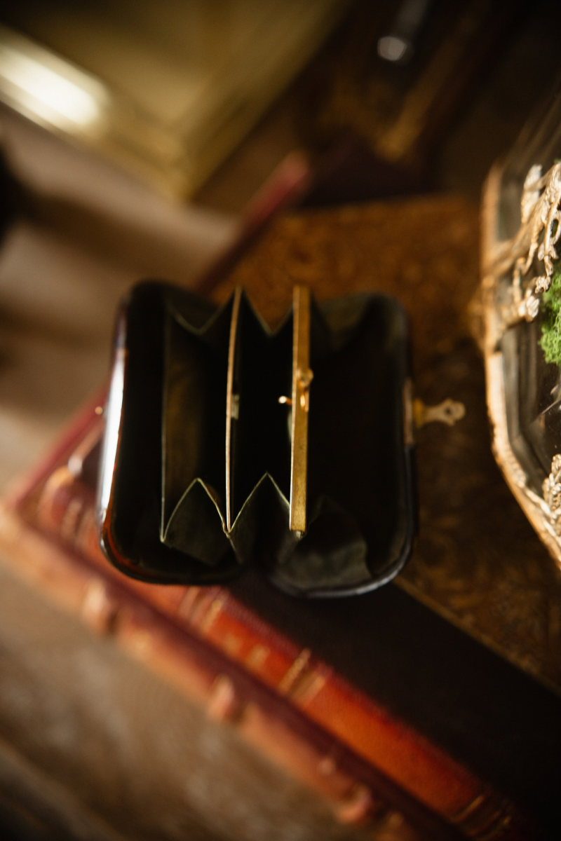19th-Century Tortoiseshell Coin Purse with Shield Cartouche