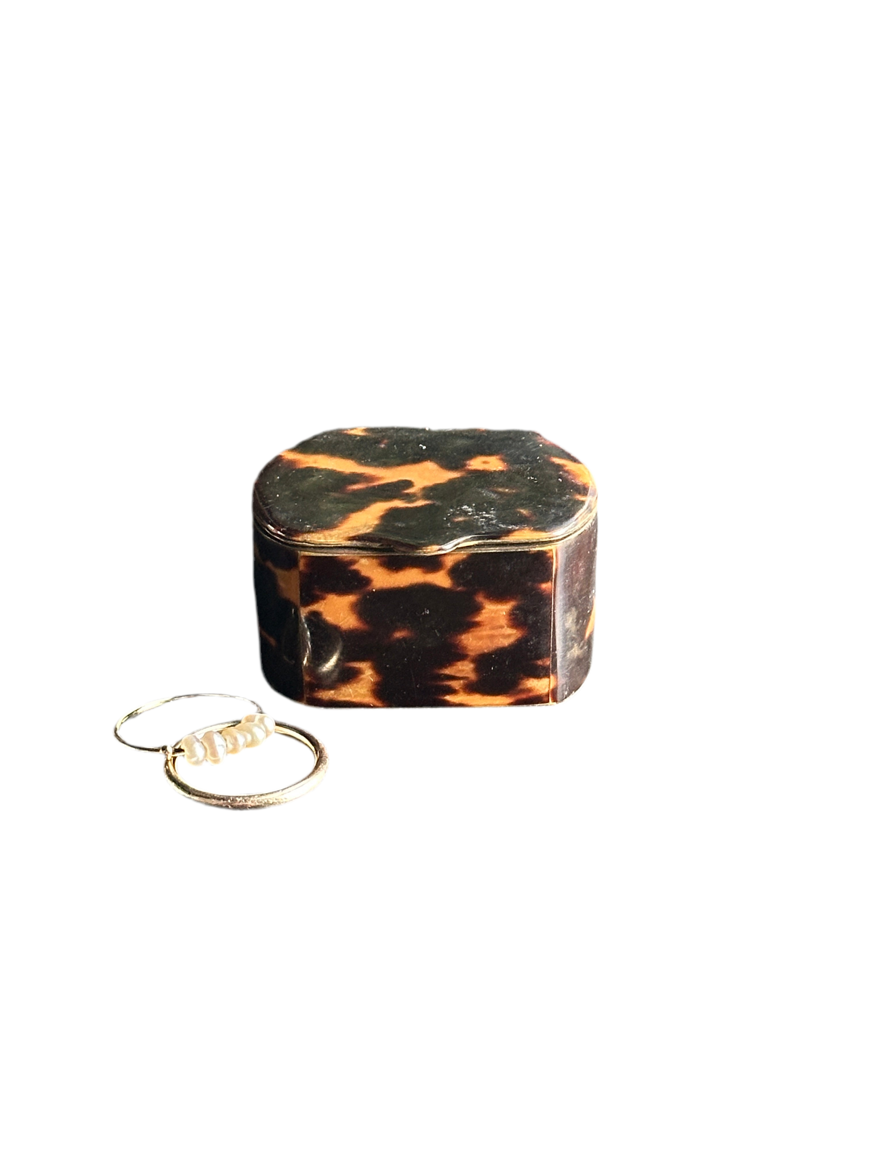 19th Century Tortoiseshell and Brass Mounted Presentation Box