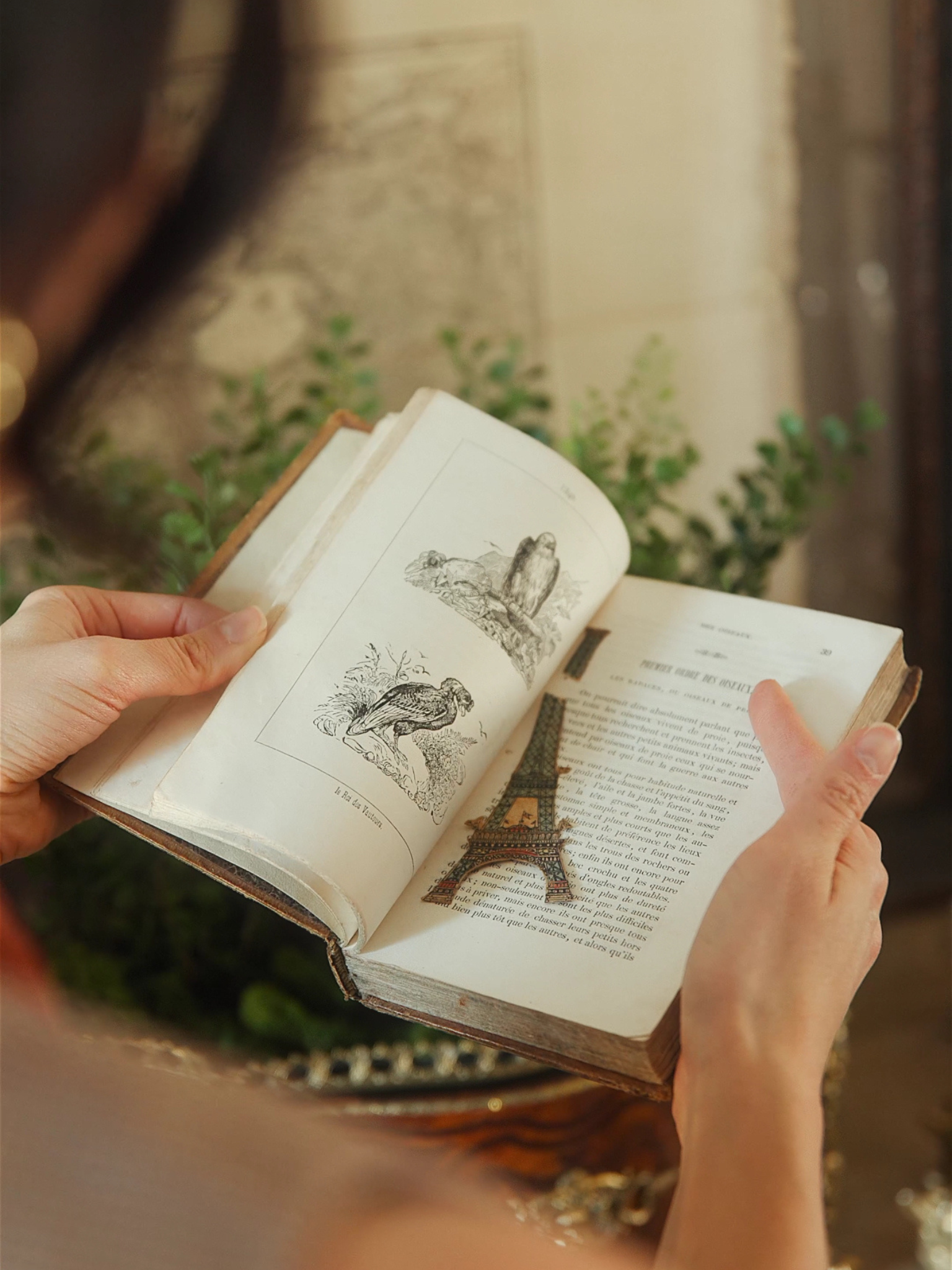 “Histoire Naturelle des Oiseaux, Reptiles et des Poissons” — 1841 French Natural History Volume