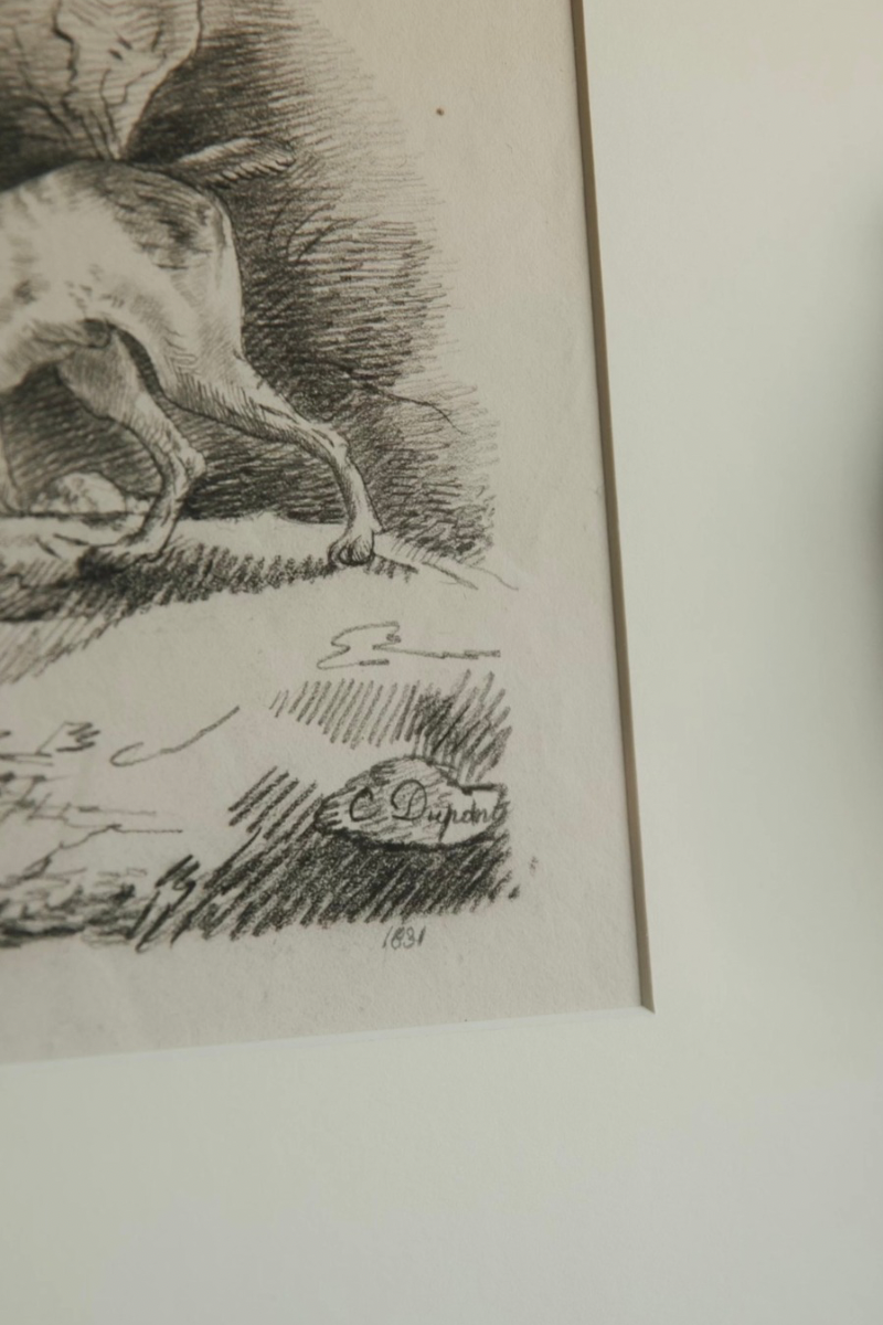 Signed 1831 European Graphite Drawing of Hunting Dogs