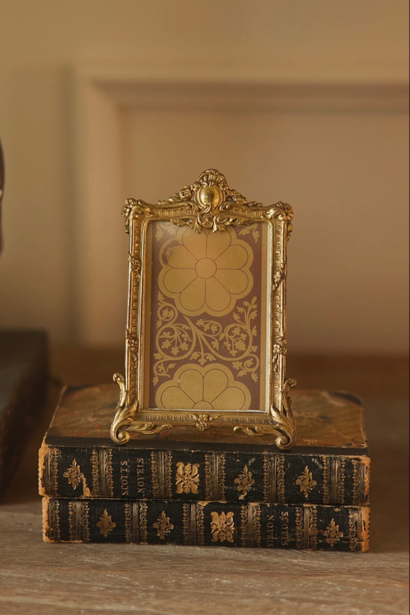 19th Century French Decorative Bronze Frame with Silk Interior
