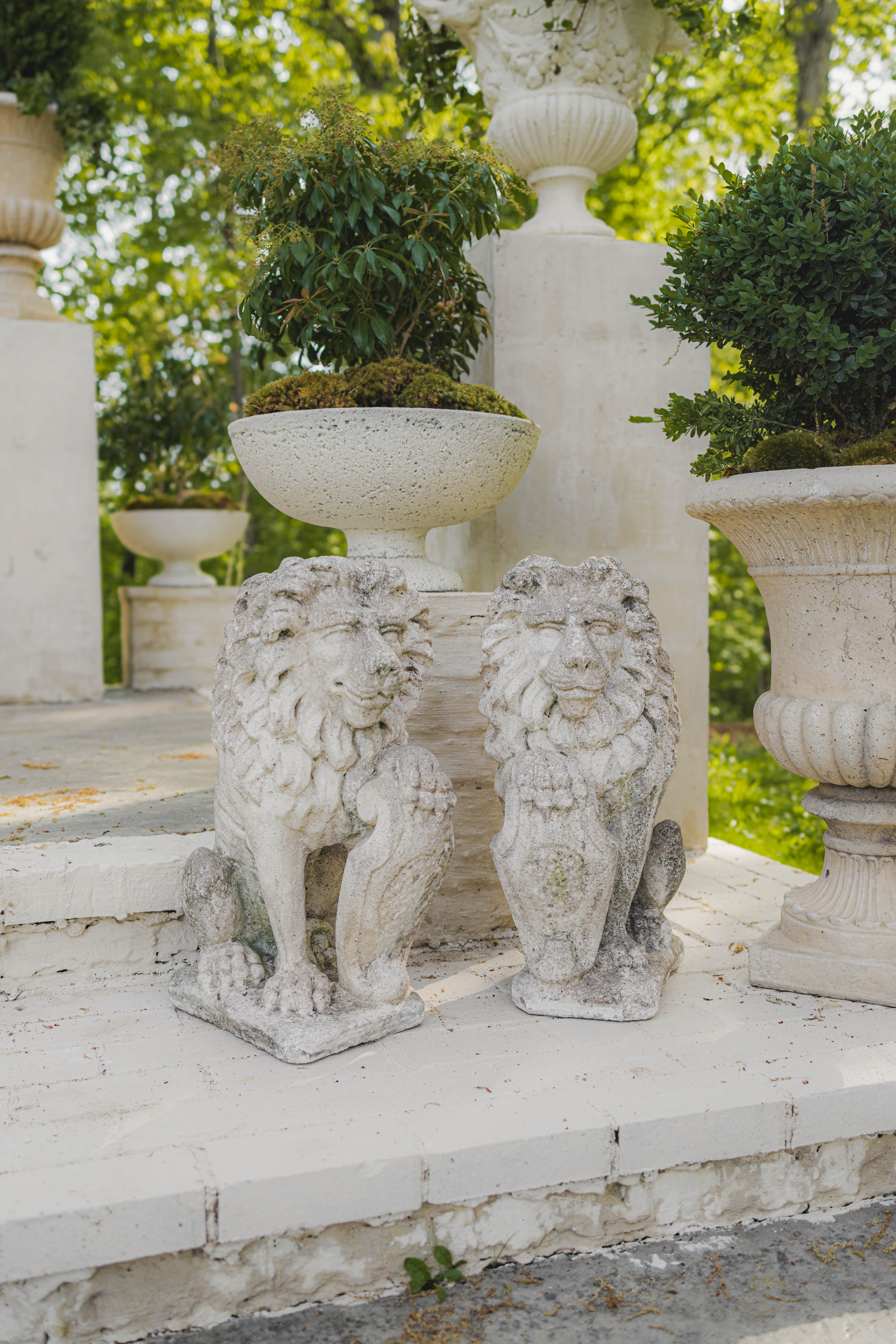 19th Century Stone Lion Pair
