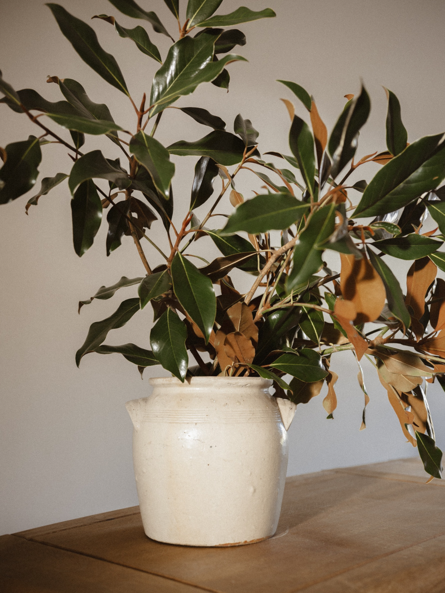19th Century French Glazed Stoneware Pot