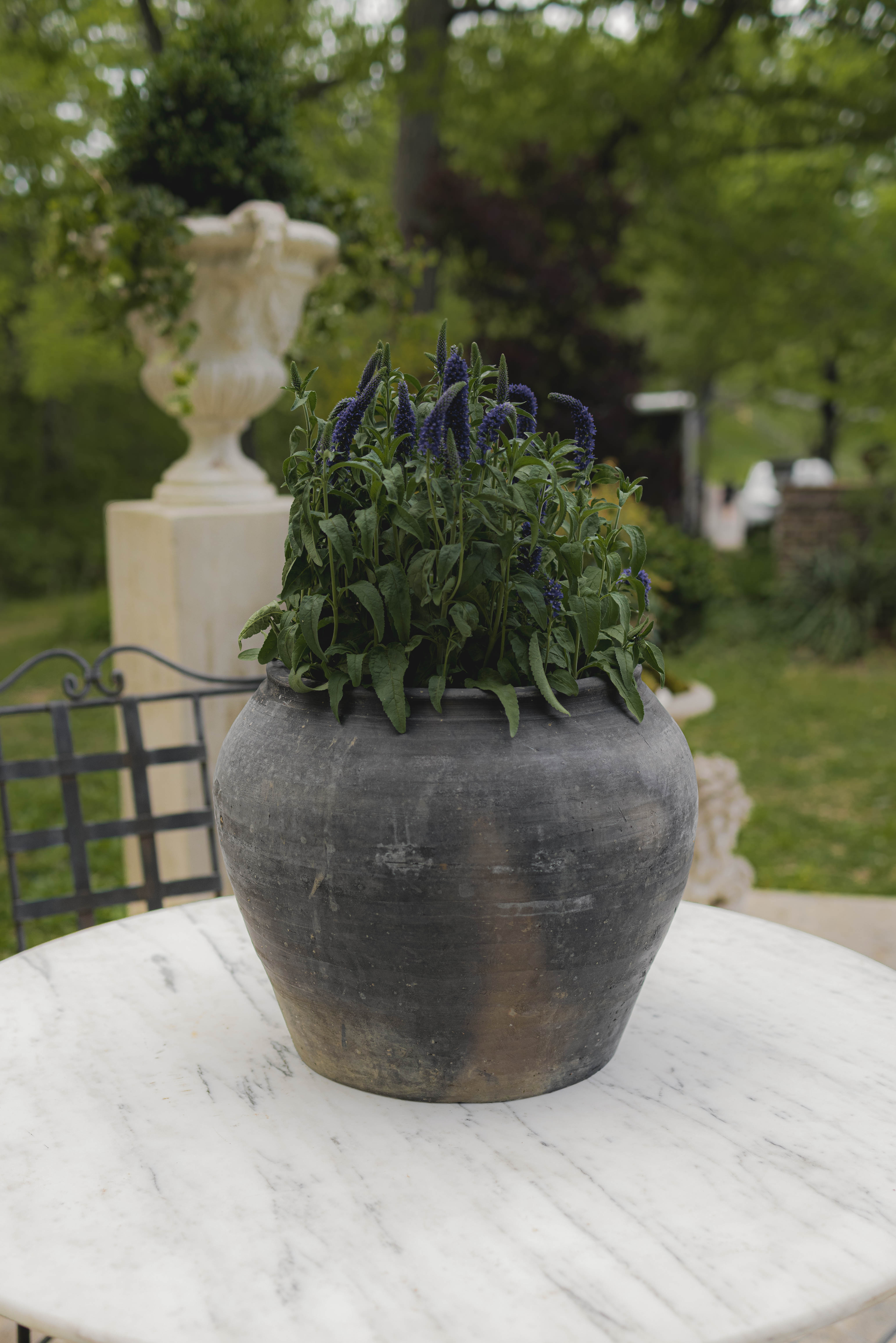 Vintage Cunmin Pot