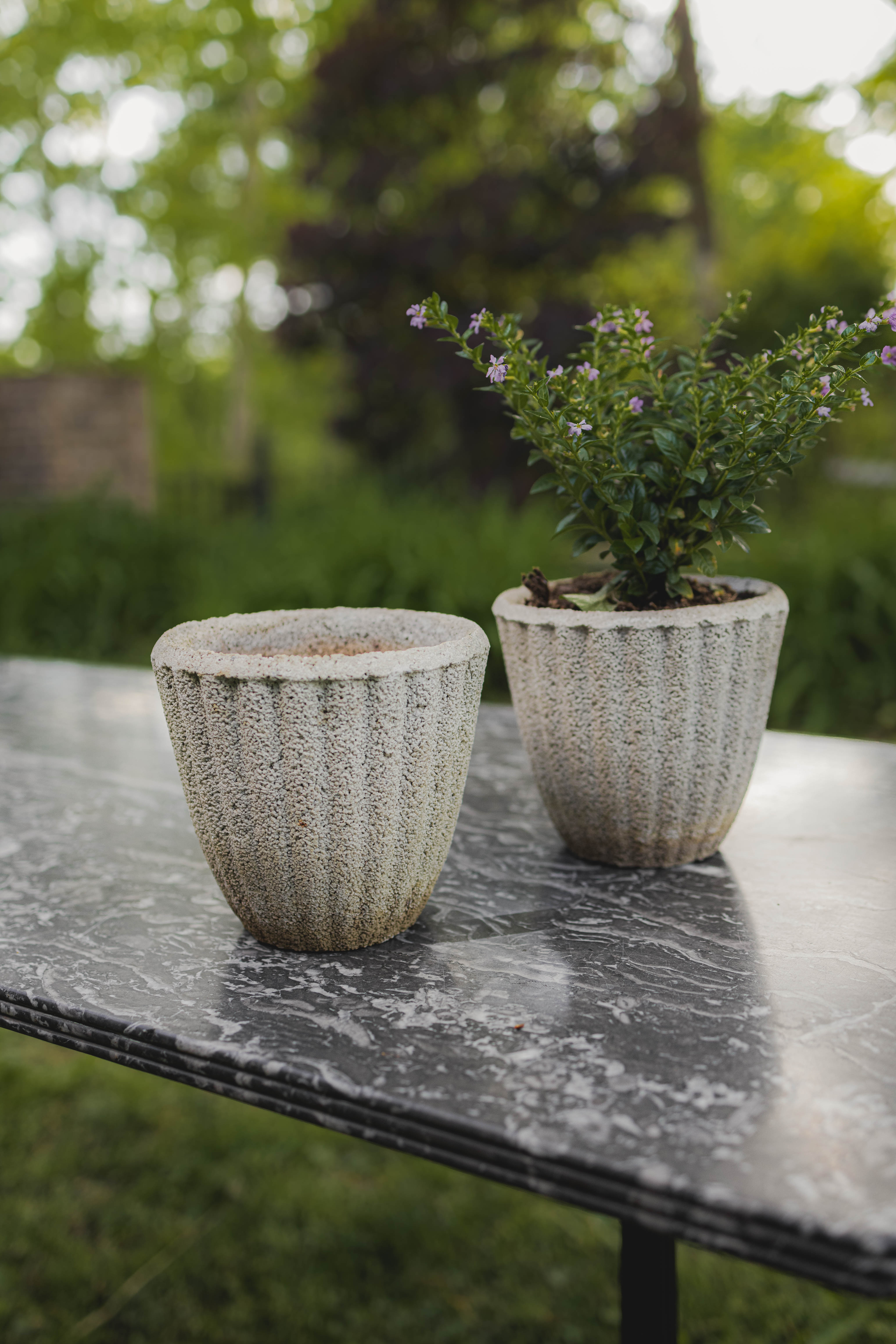 Antique French Fluted Concrete Mini Planters