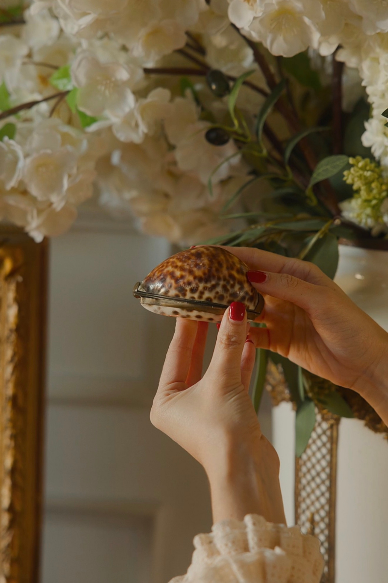 Inscribed Tiger Cowrie Shell Keepsake Box