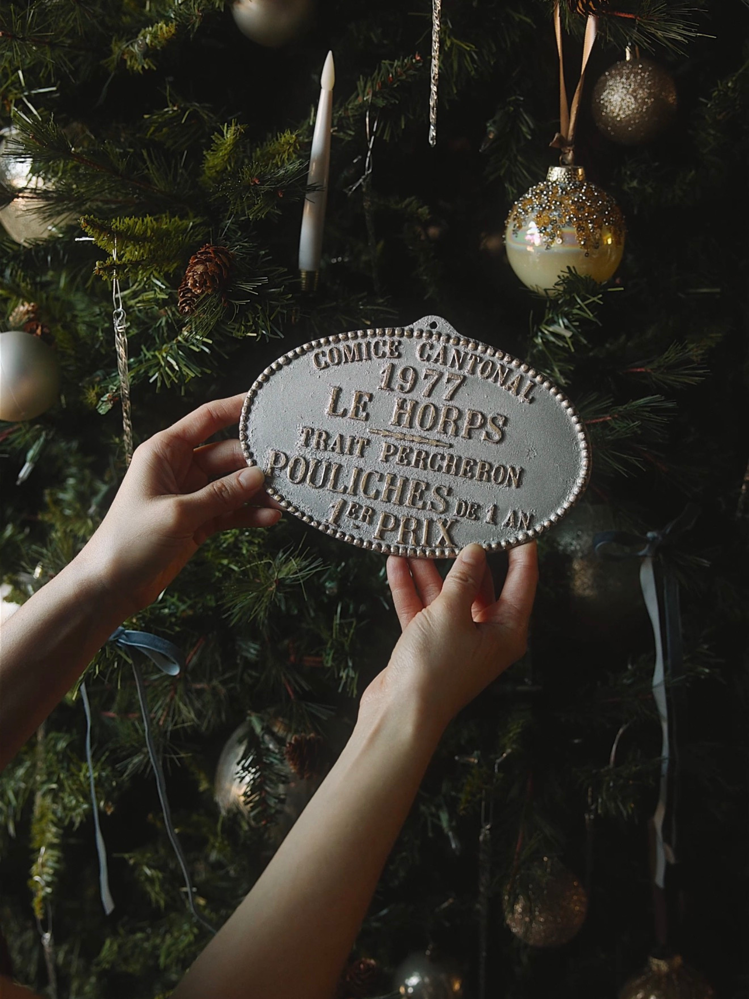French Agricultural Fair Cast Iron Award Plaque, 1977