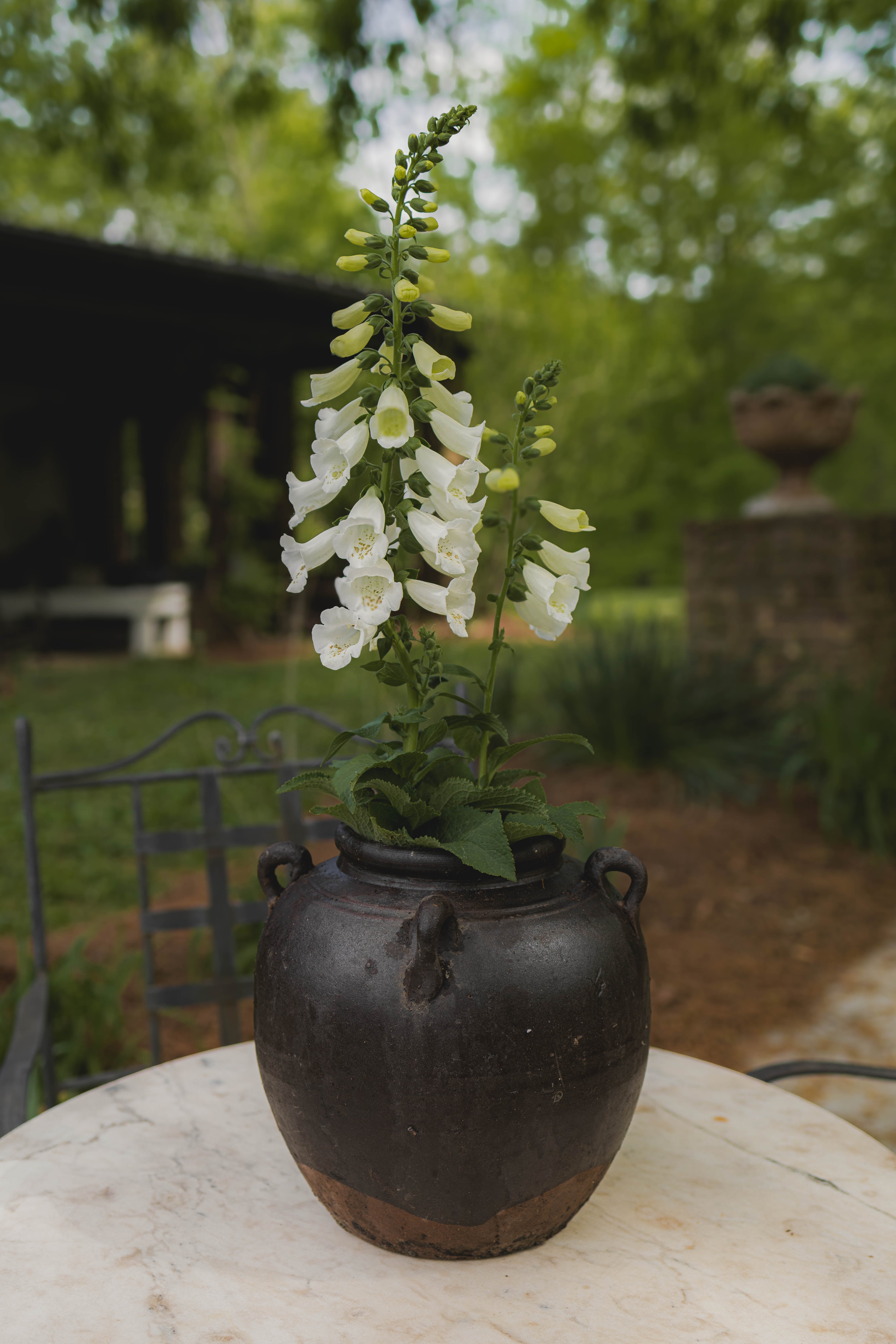 Glazed Traditional Pot