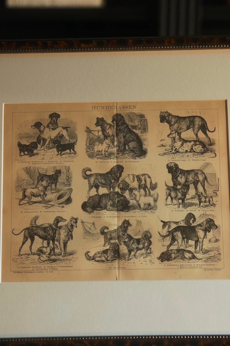 Pair of 2 19th C. French Dog Breed Book Plates
