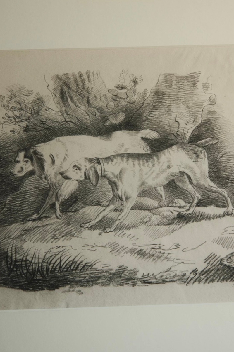 Signed 1831 European Graphite Drawing of Hunting Dogs