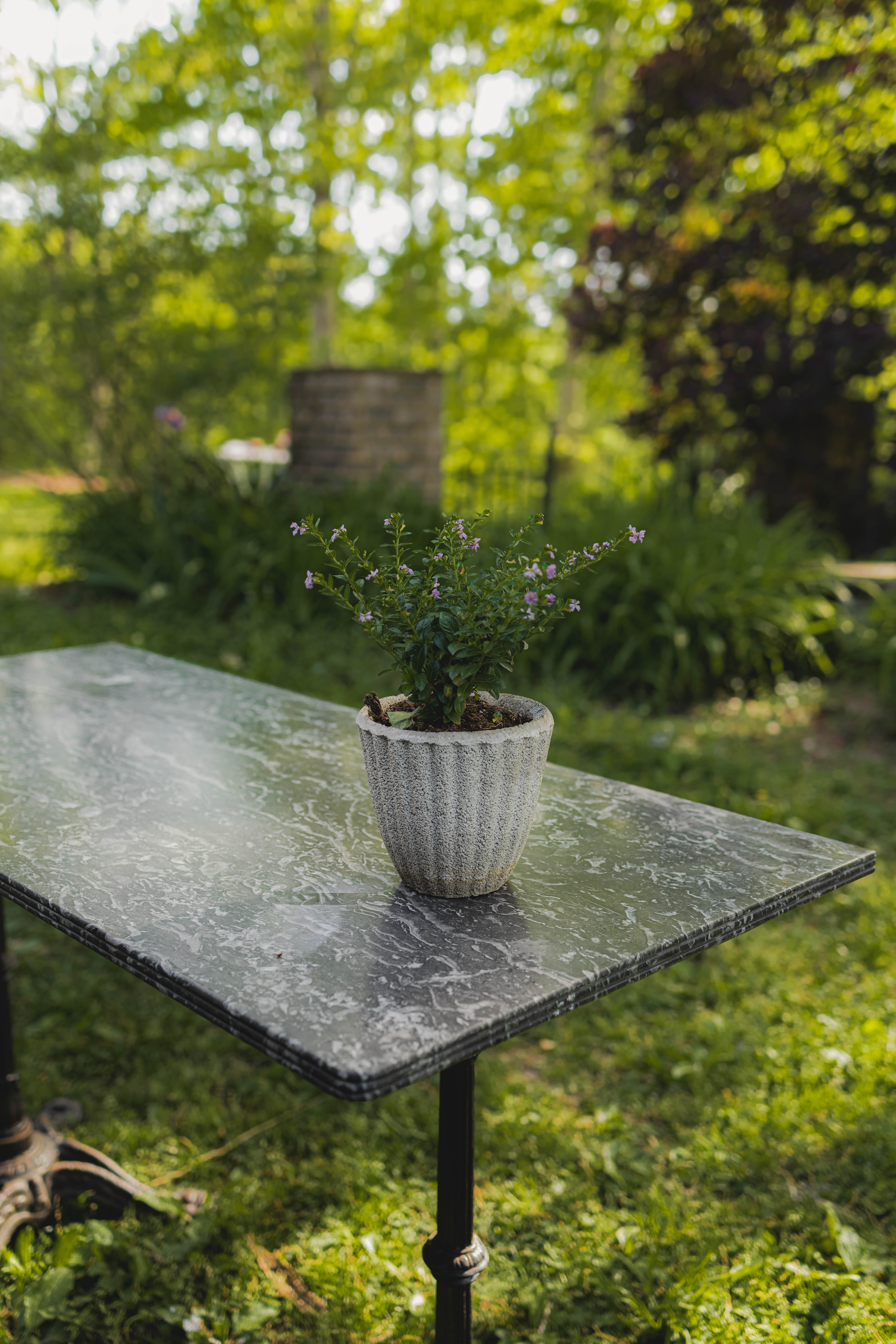 Antique French Fluted Concrete Mini Planters