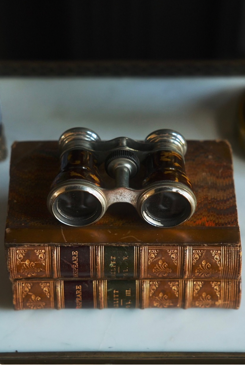 19th C. French Tortoise Opera Glasses