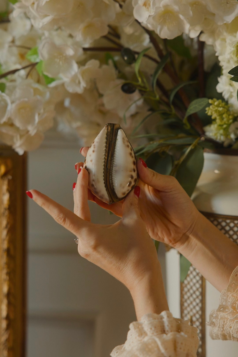 Inscribed Tiger Cowrie Shell Keepsake Box